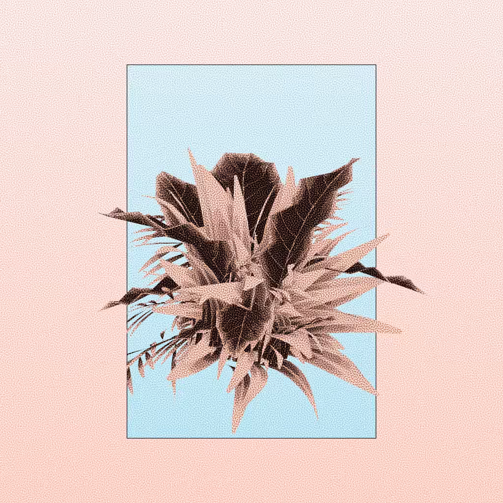 Botany #28