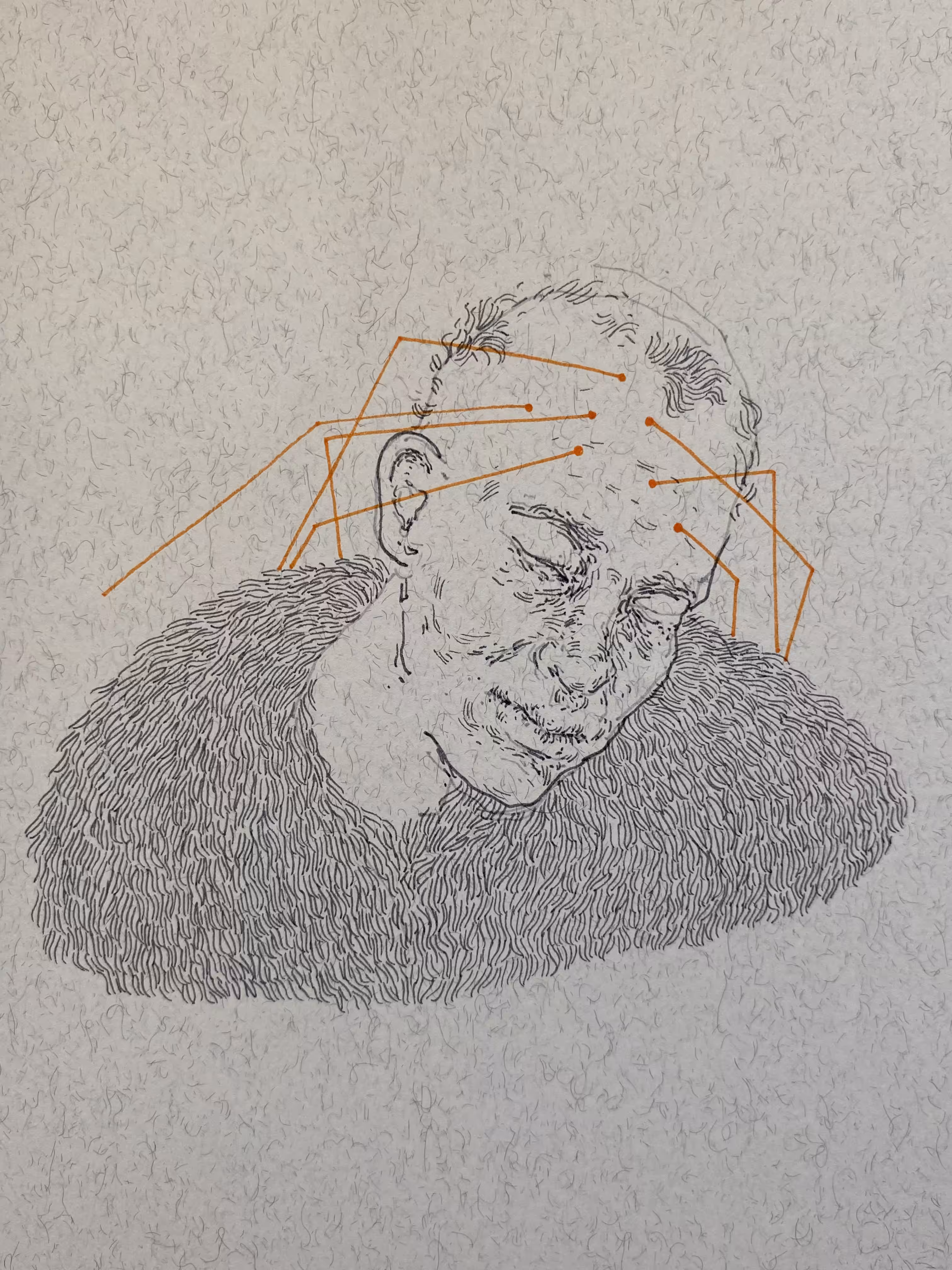 29