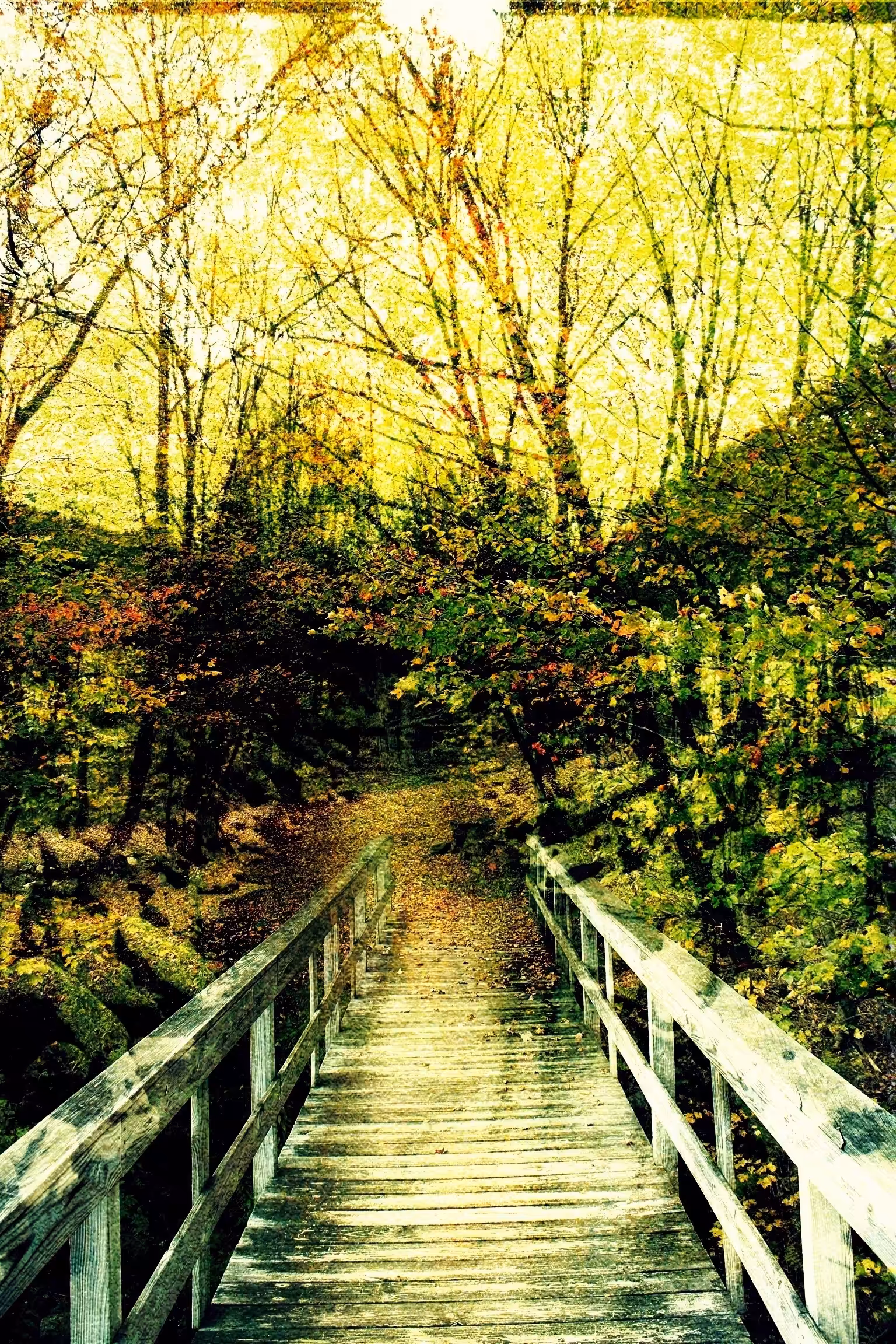 The Path