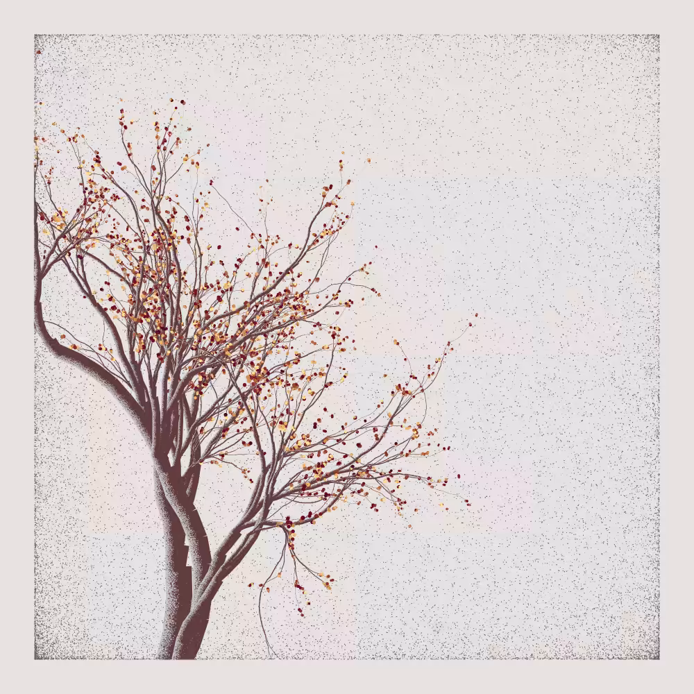 Bougainvillea #186