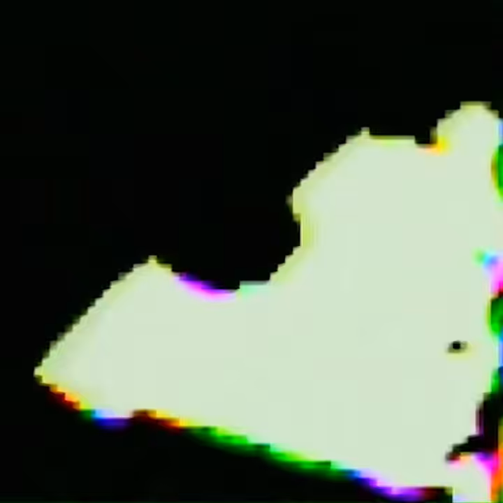the_witch__