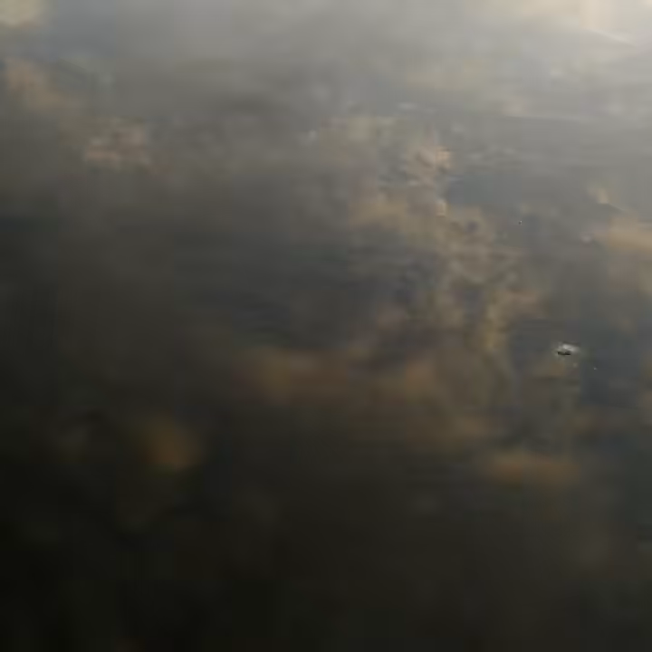 Reflection (Ranu Kumbolo)