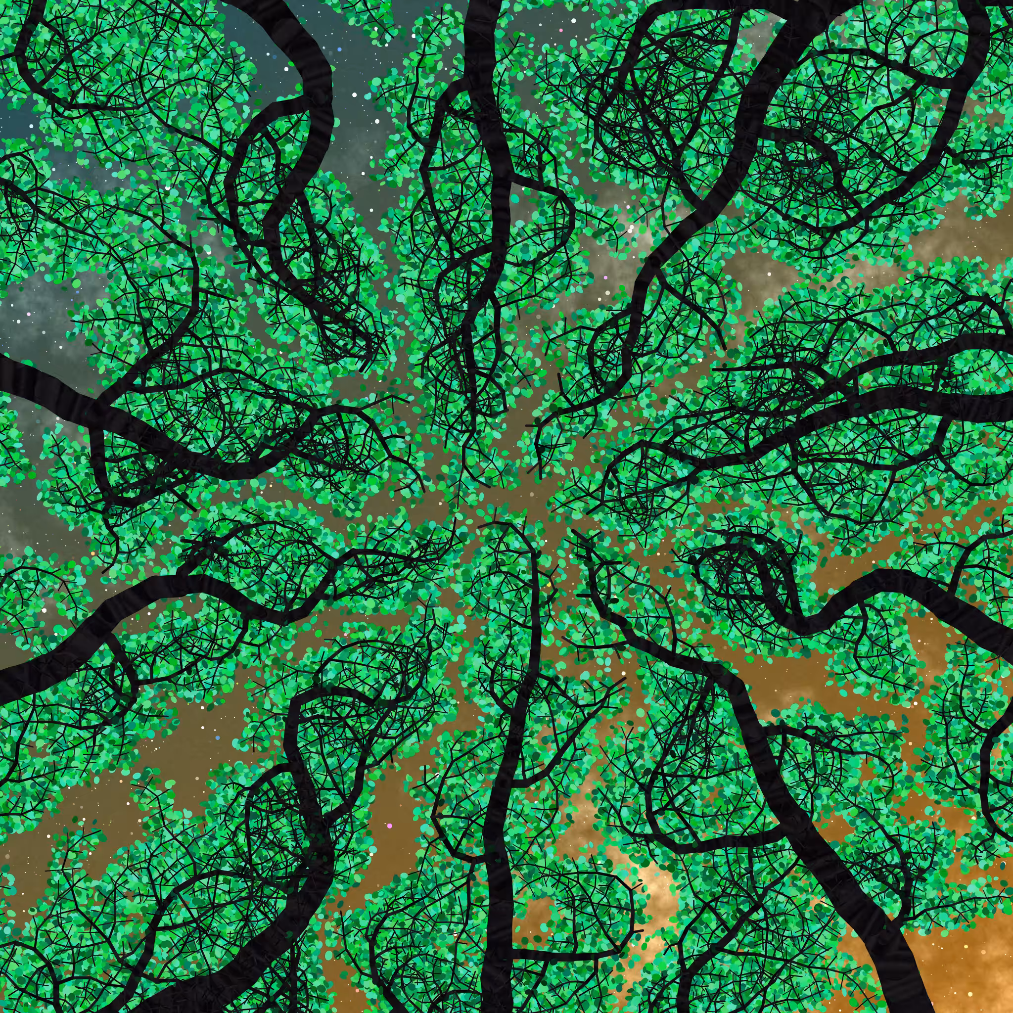Tree Skyness #77