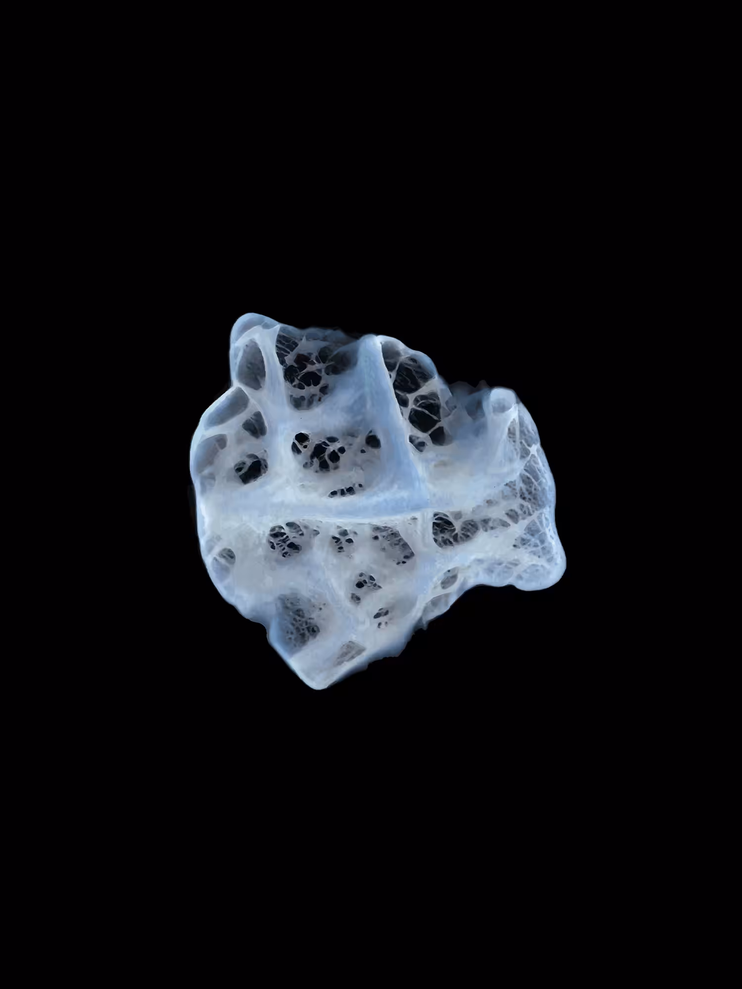 IMA-07