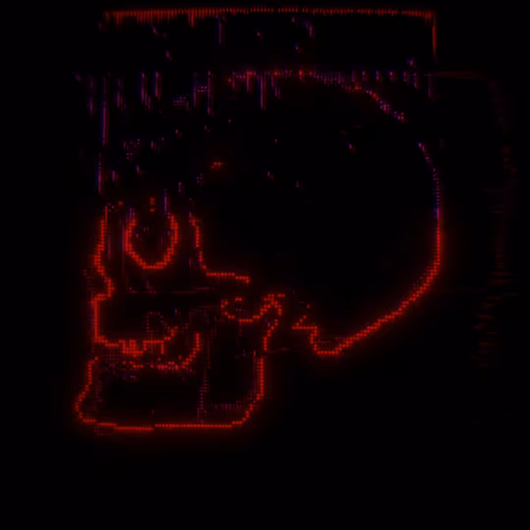 Digital Skull