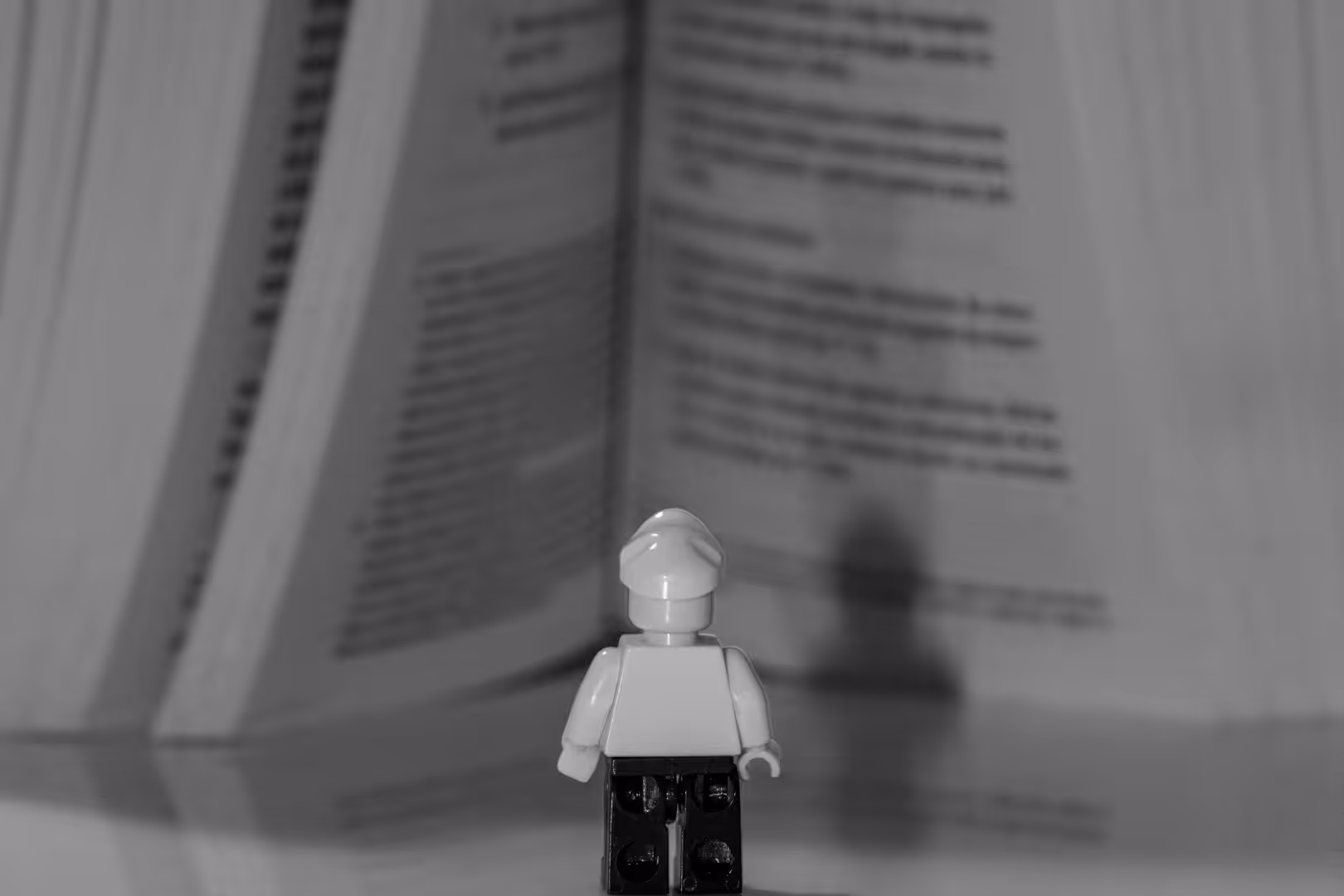 The life of legos in the pandemic