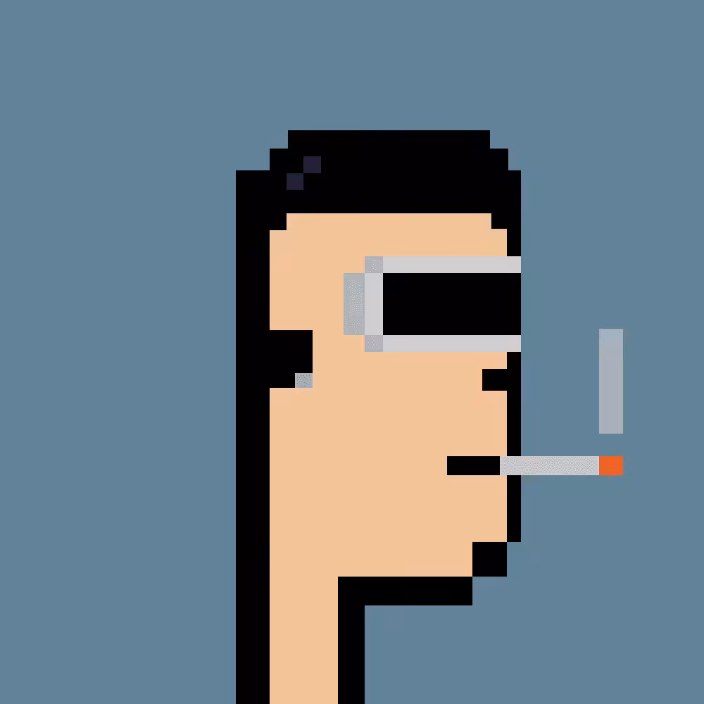 Crypto Half Punk #8