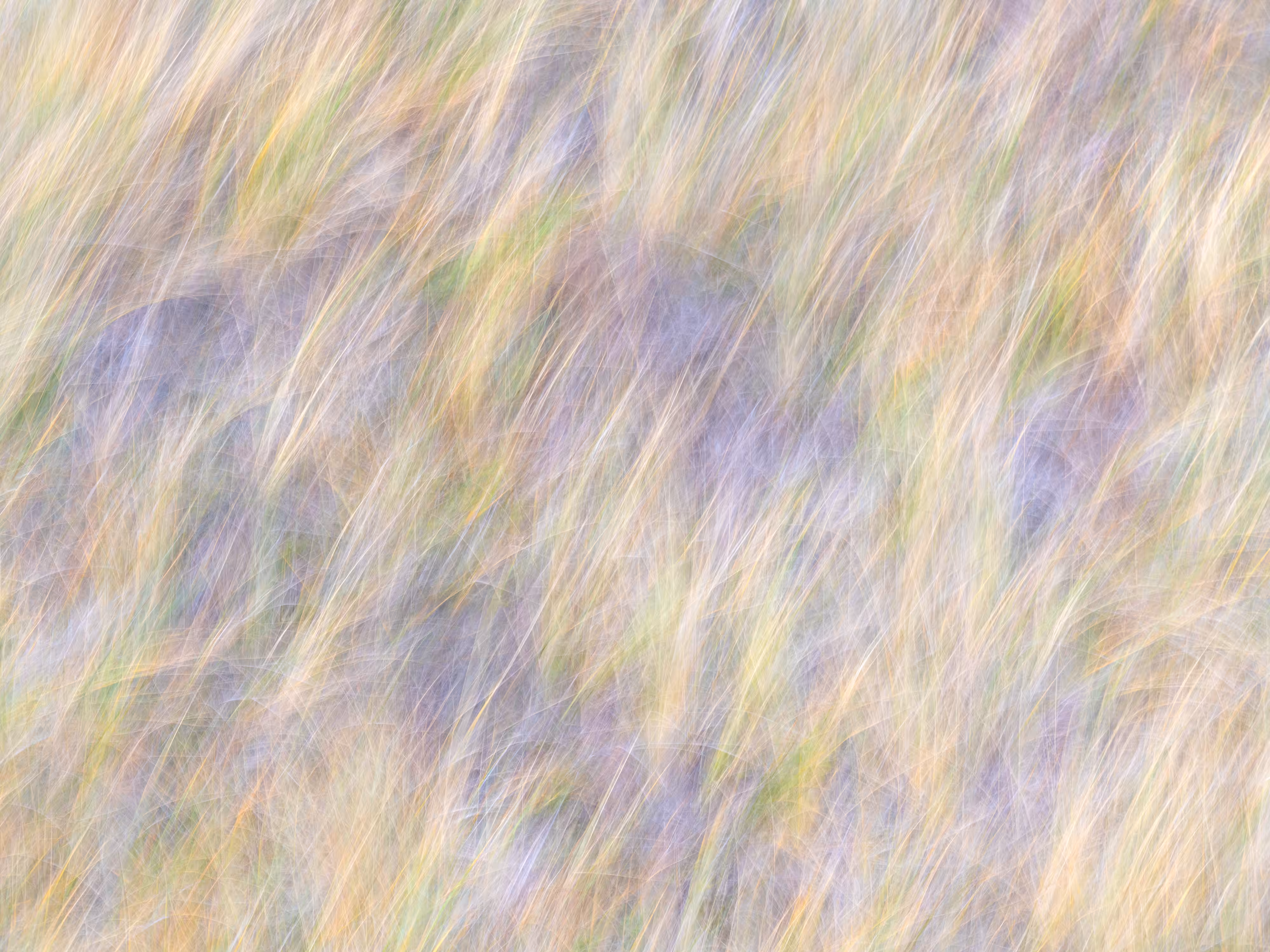 TJ Thorne: Gently