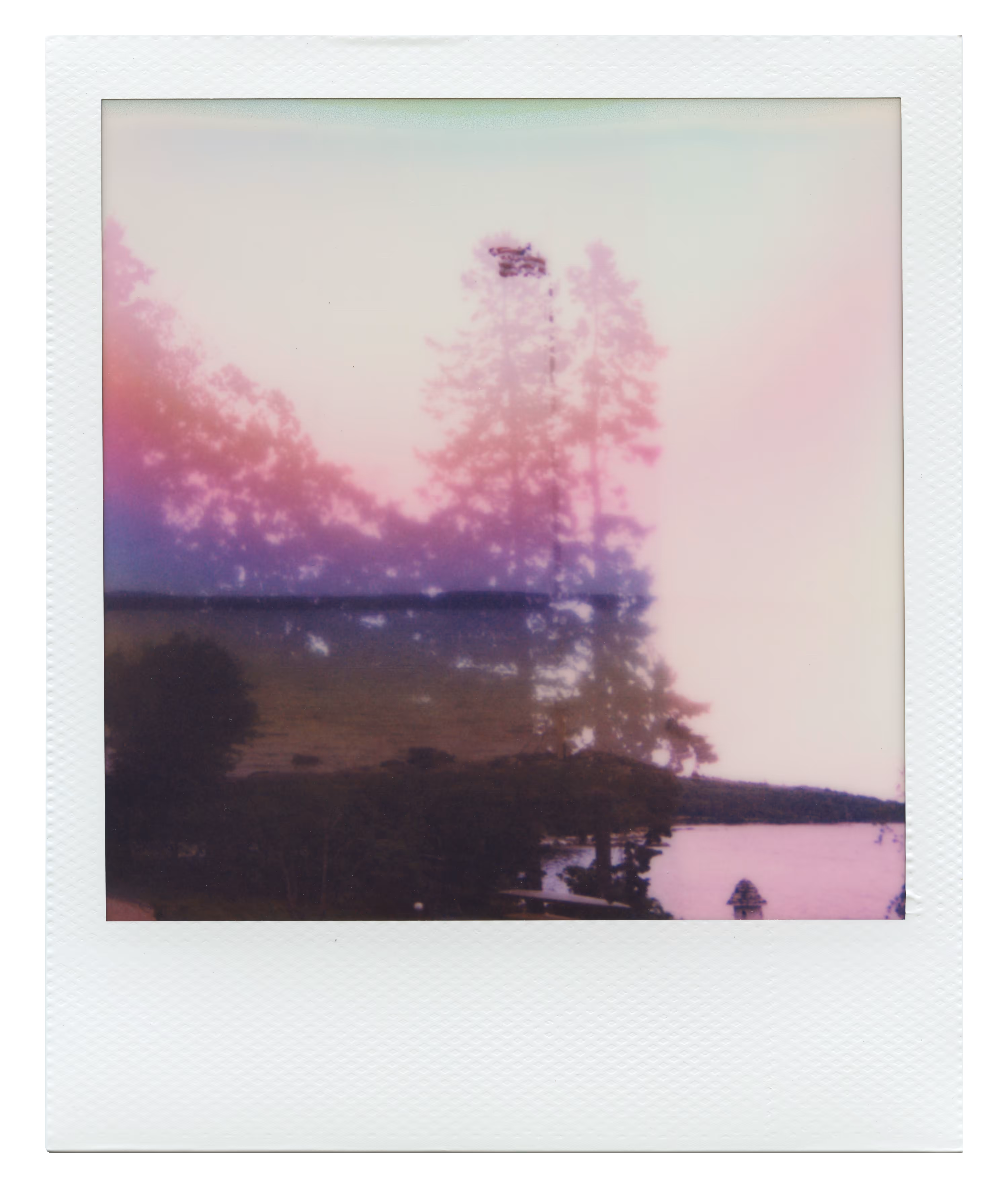 Endless Summer  |  26  | Manifestation