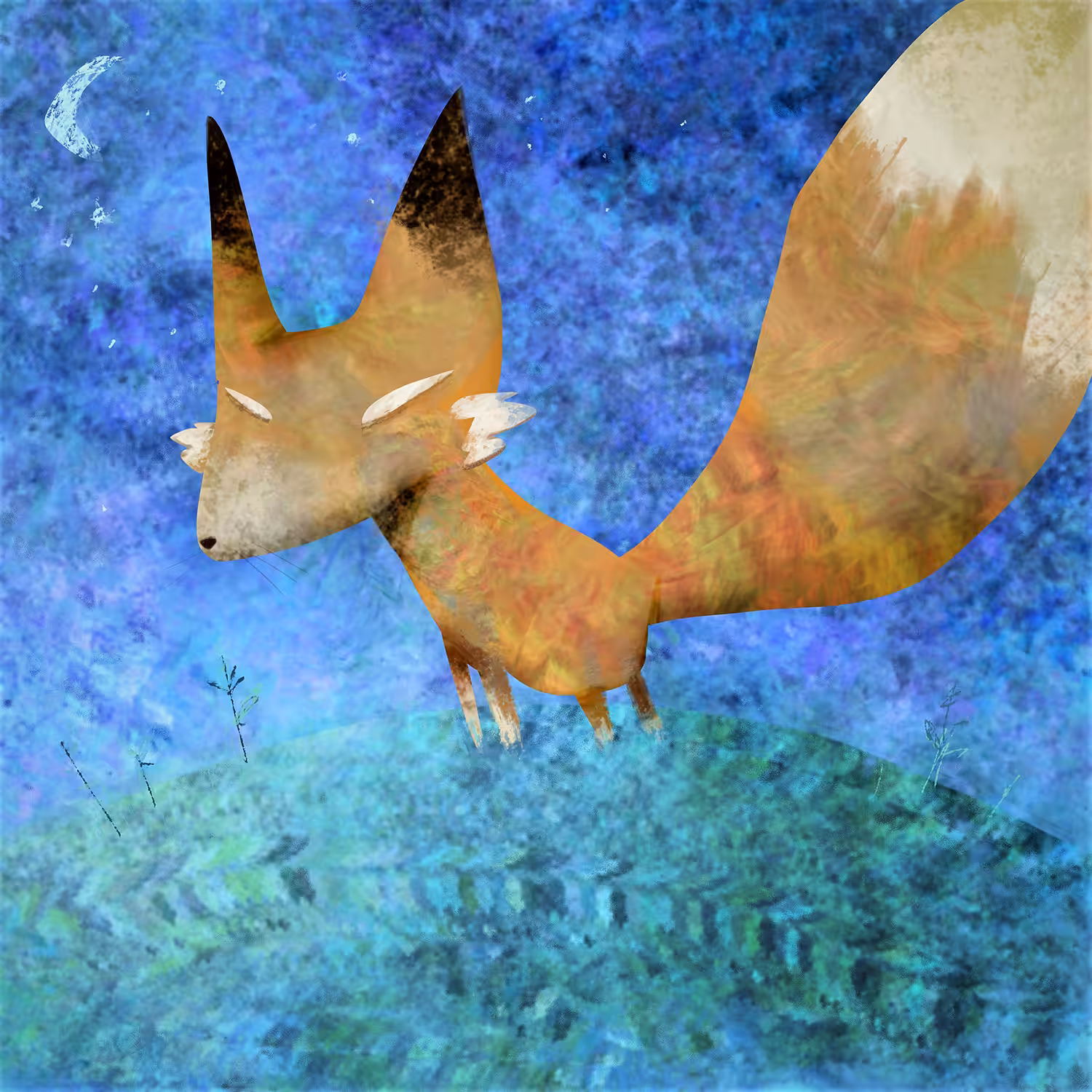 The little fox