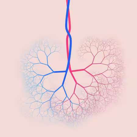 capillary trees #13