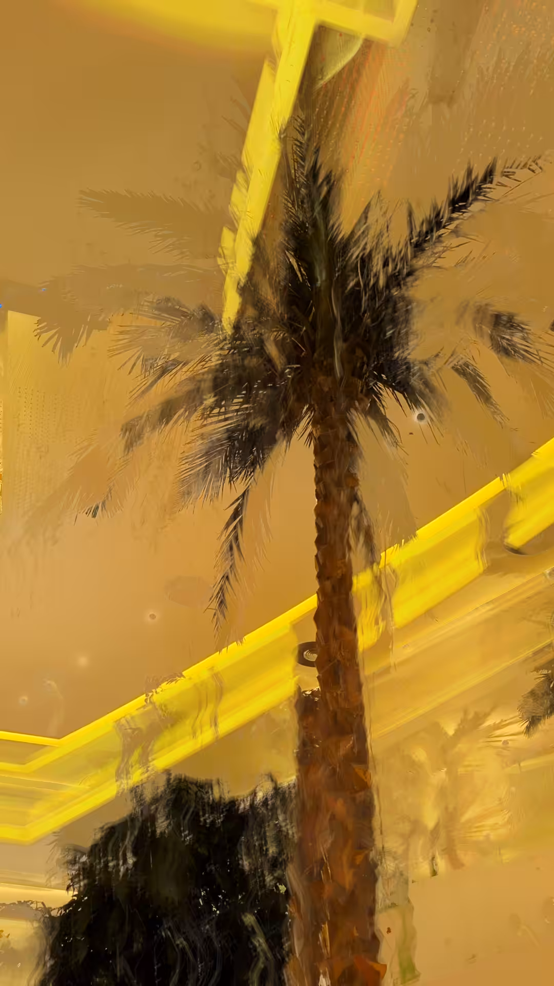 Proof of Palm 2026