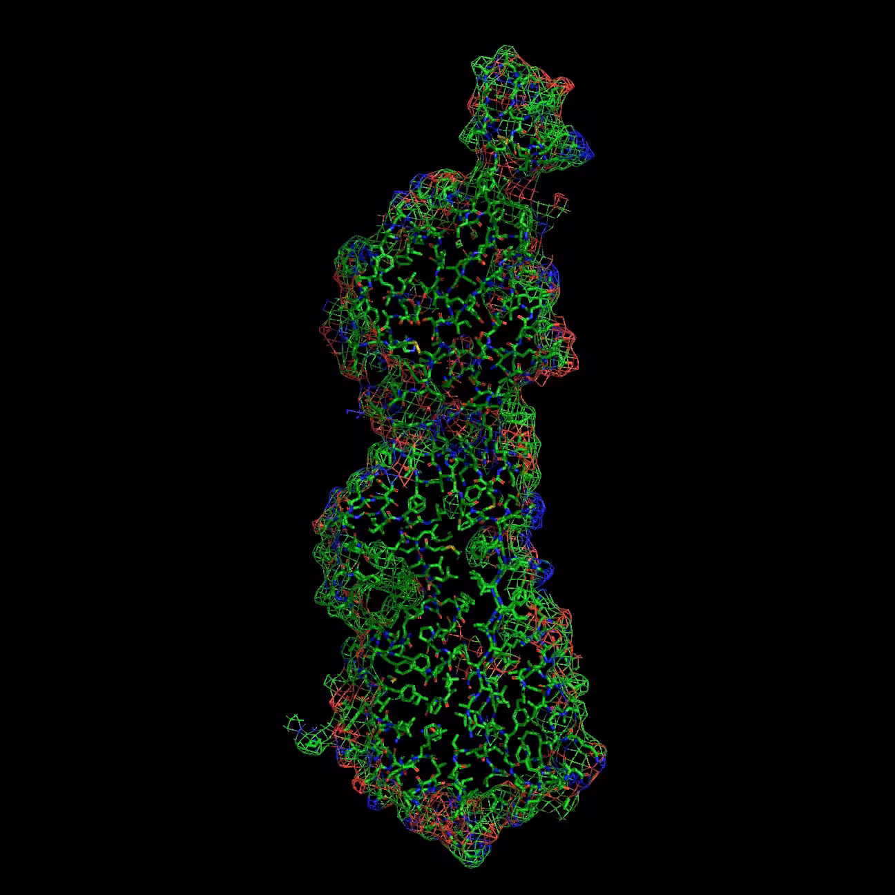 Christmas Factor – Factor IX mesh