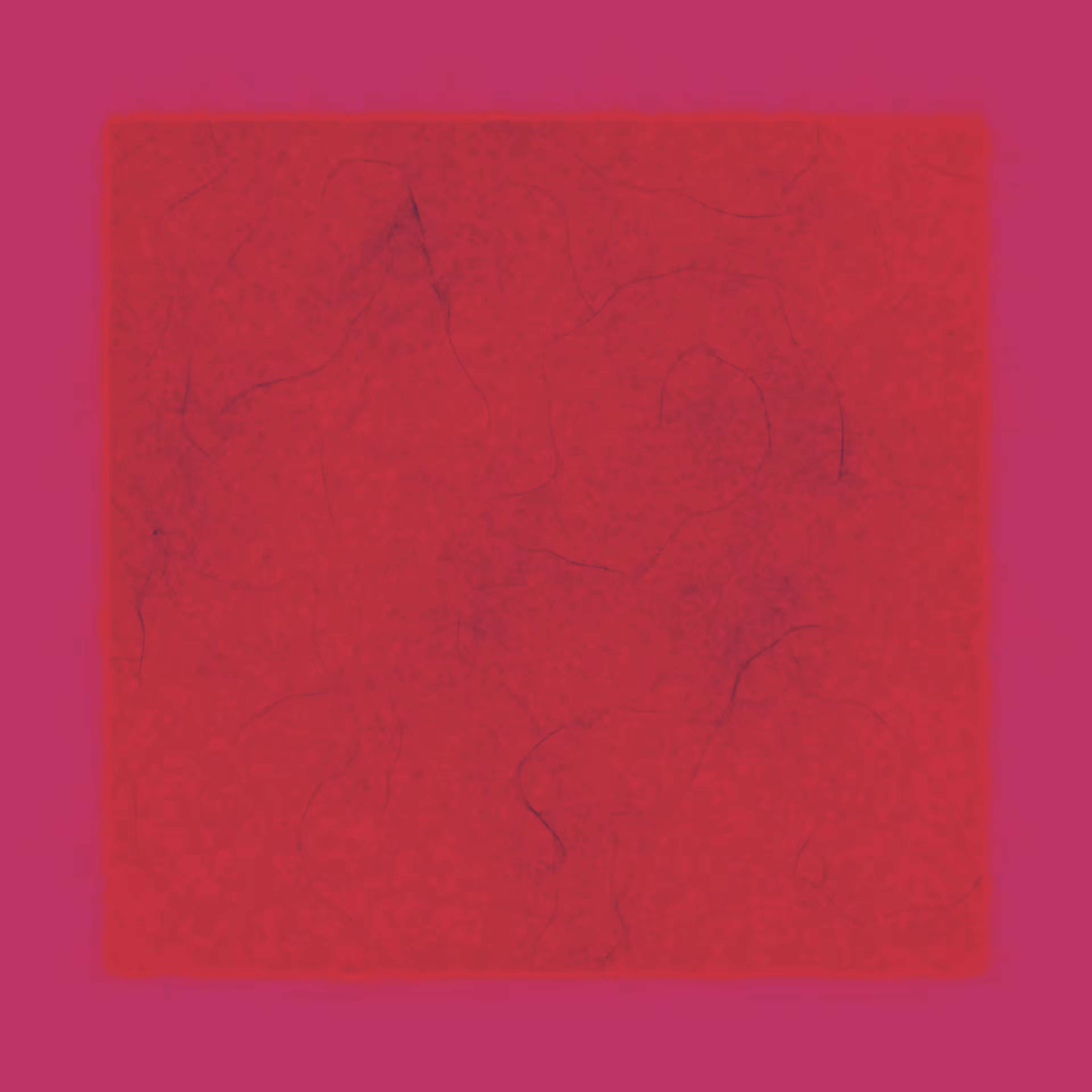 mess_accommodation