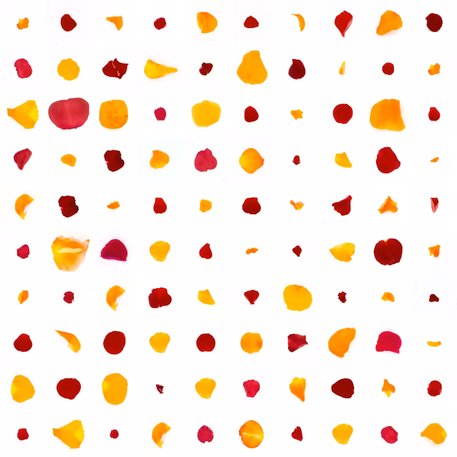 Infinite Petals 10x10#842