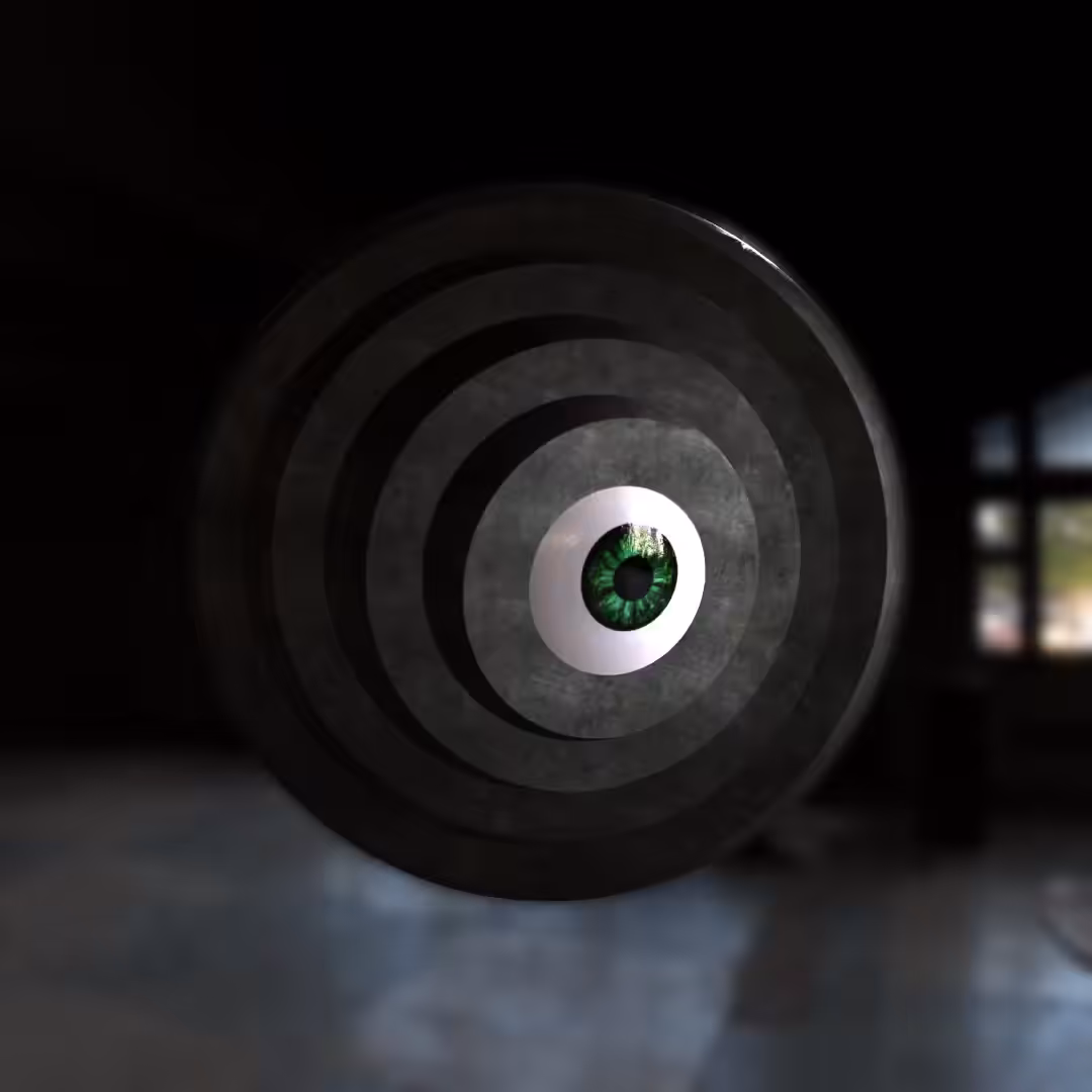 The Eye