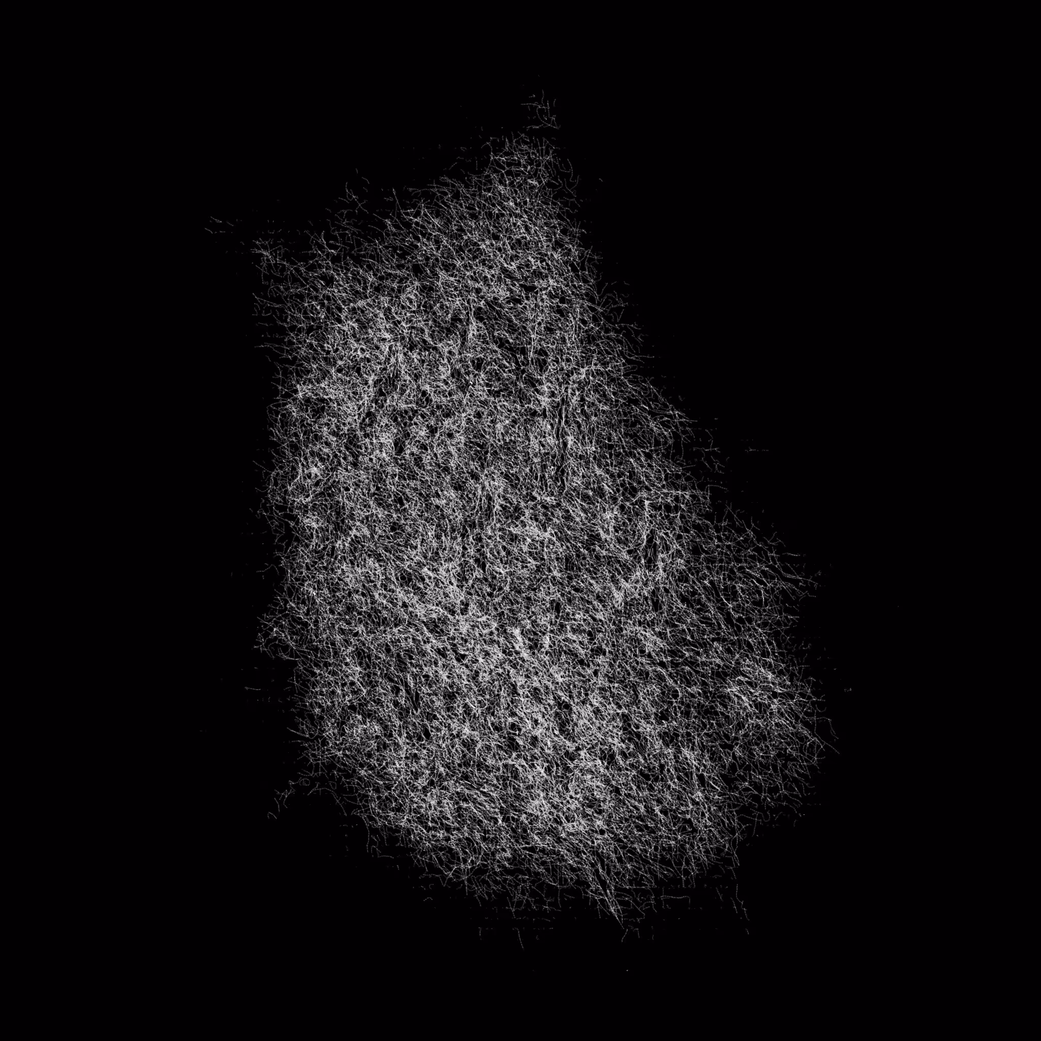 MONO 27