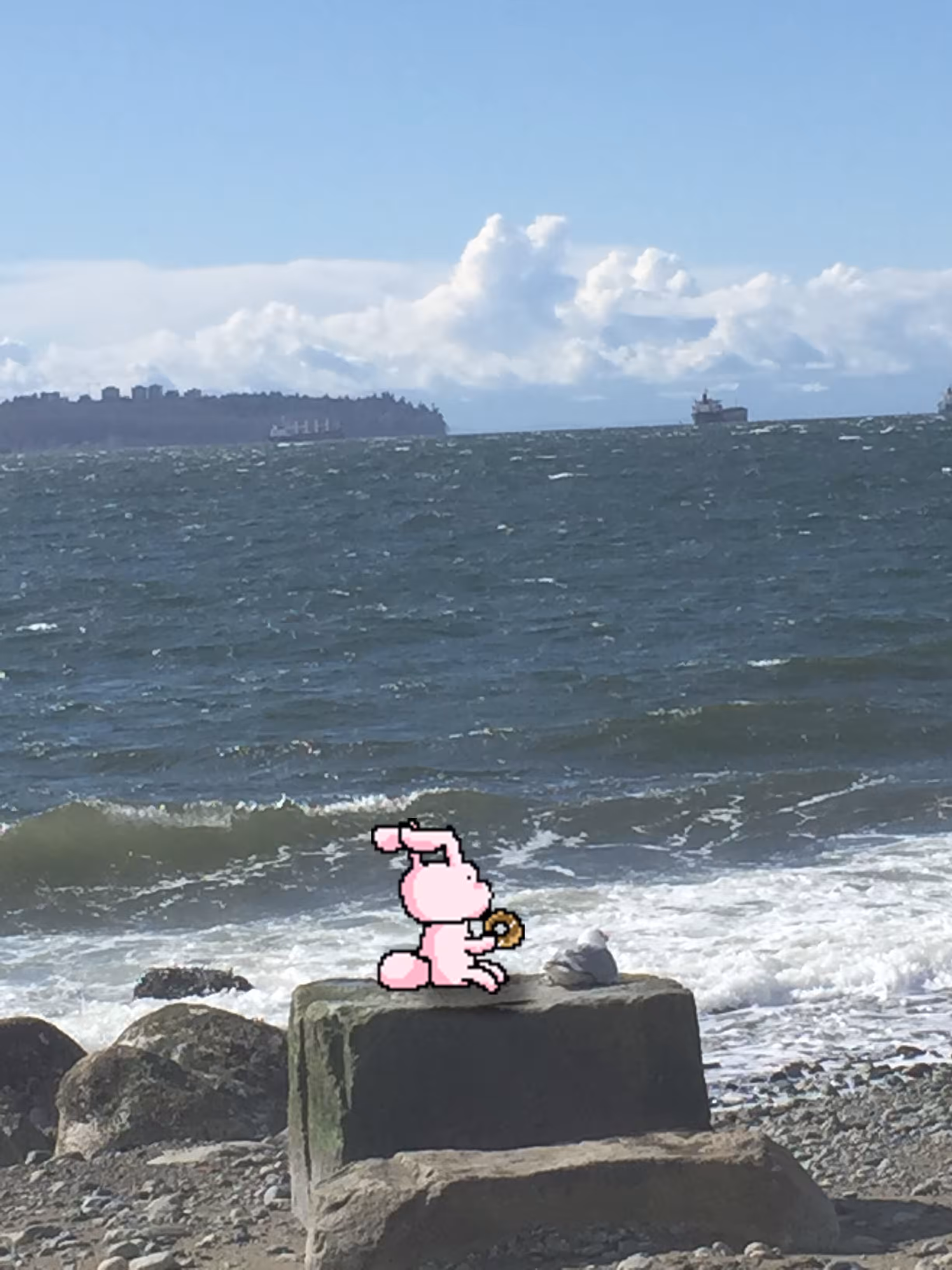 Donut time with Seagull