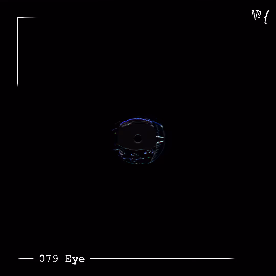 079 Eye