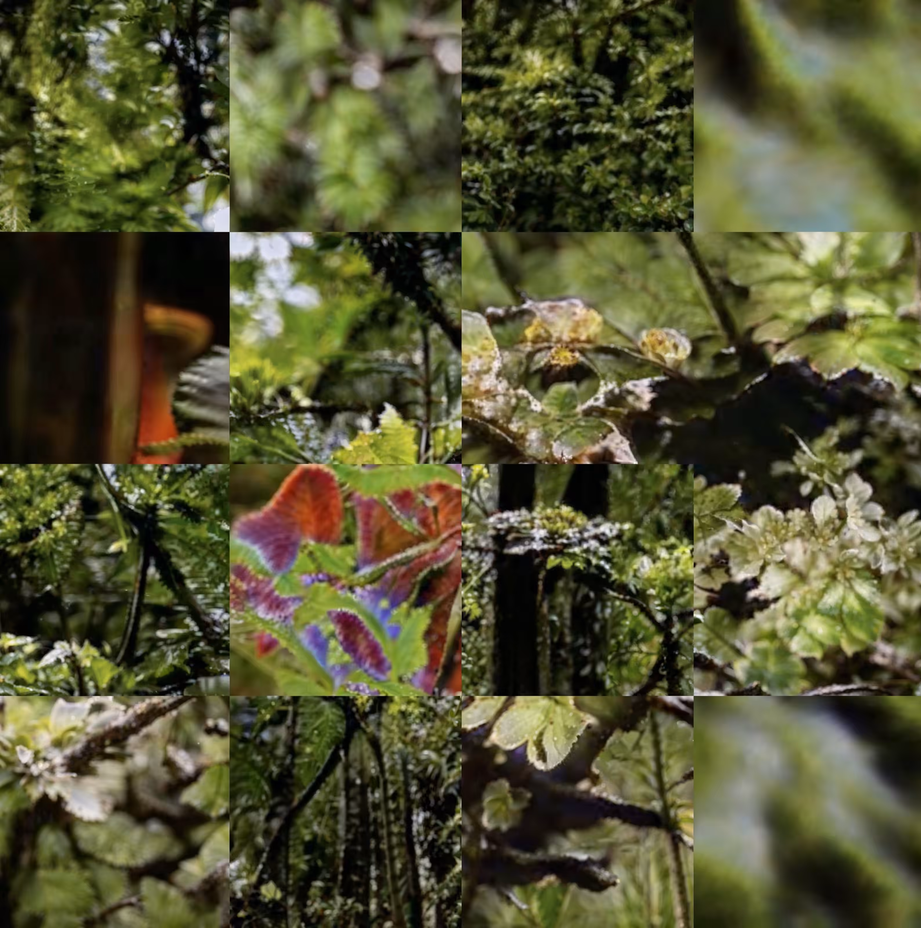 Views of Seasons: May