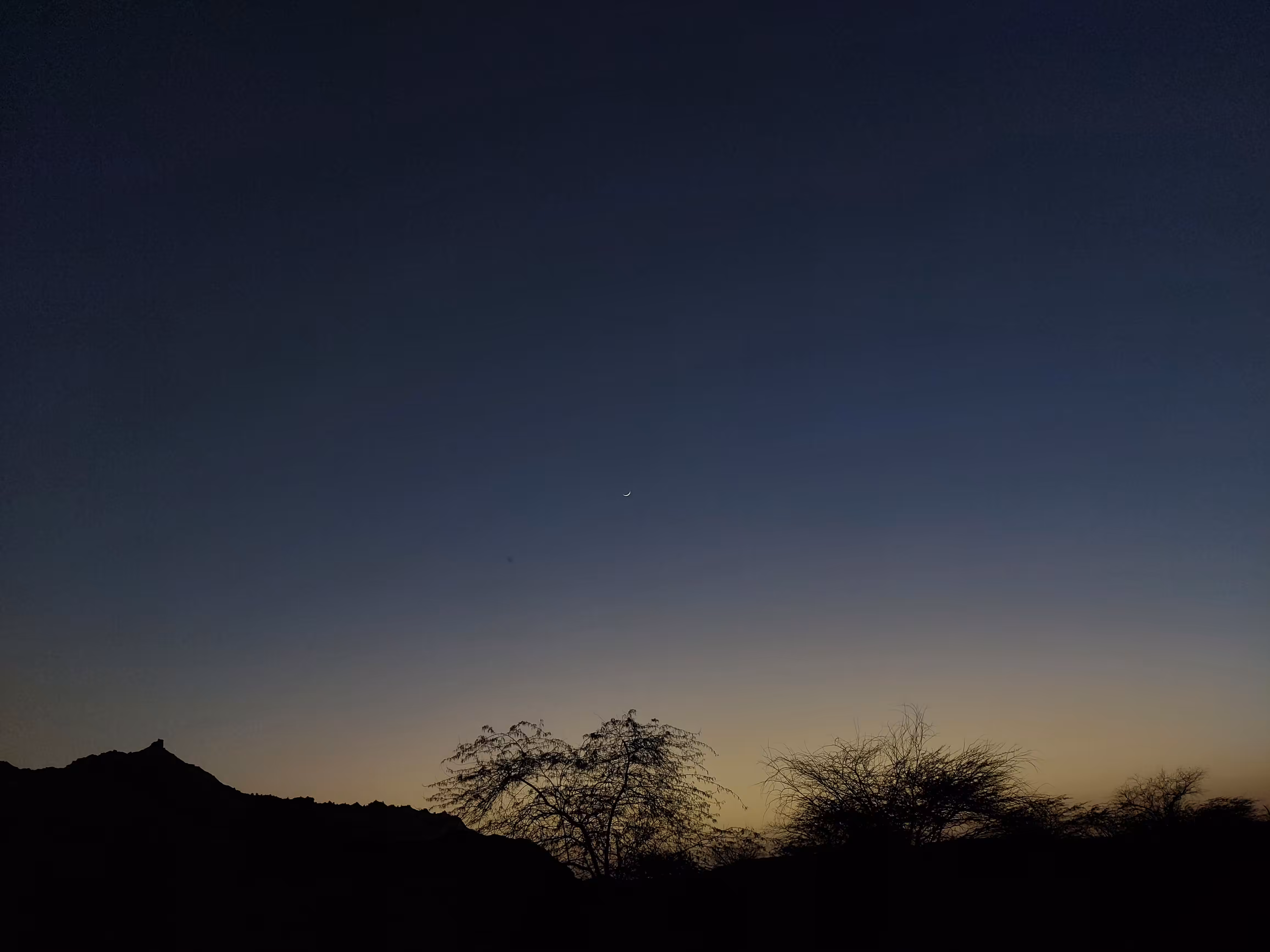 Night Sky #1