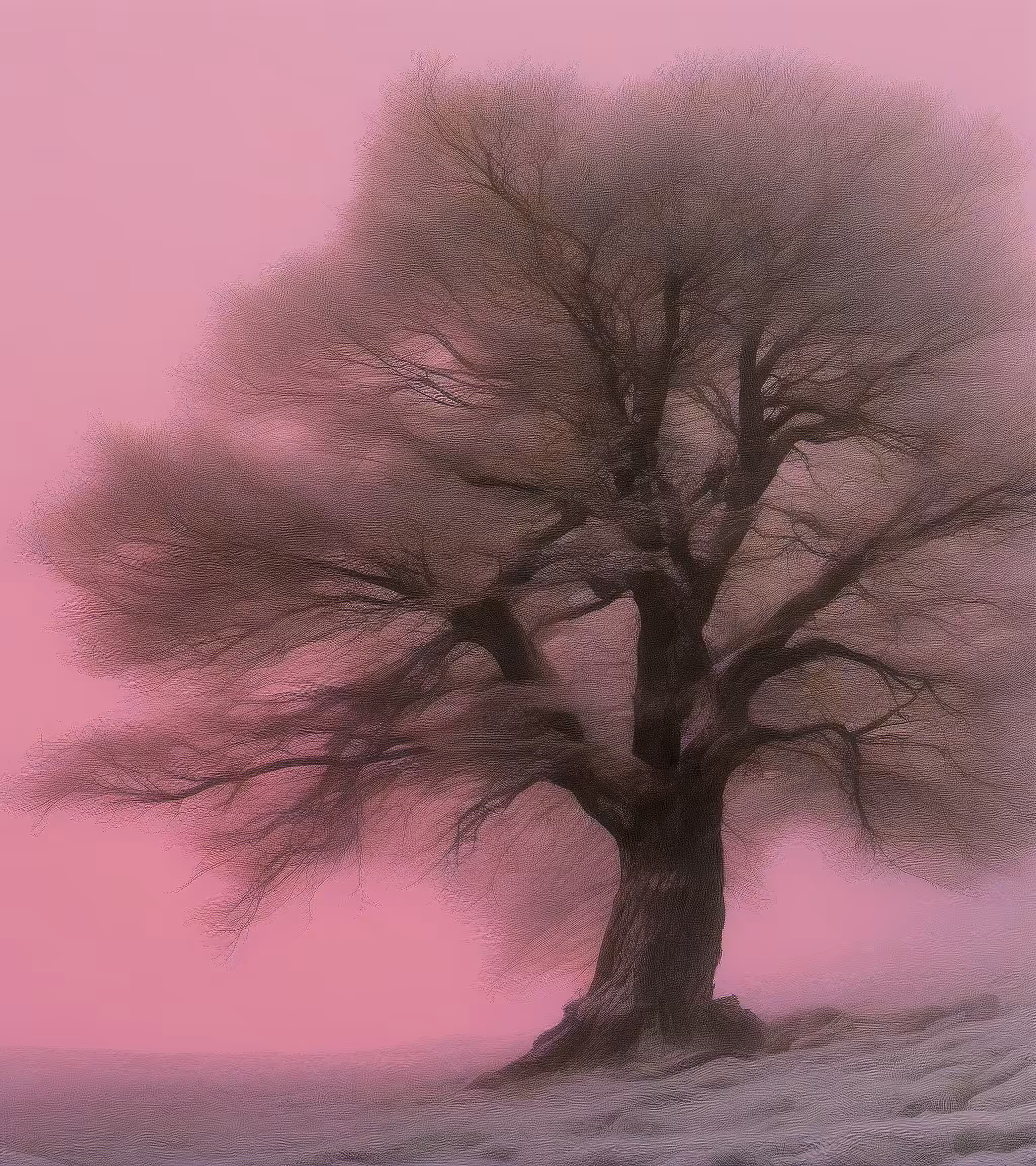 Tree Studies #5