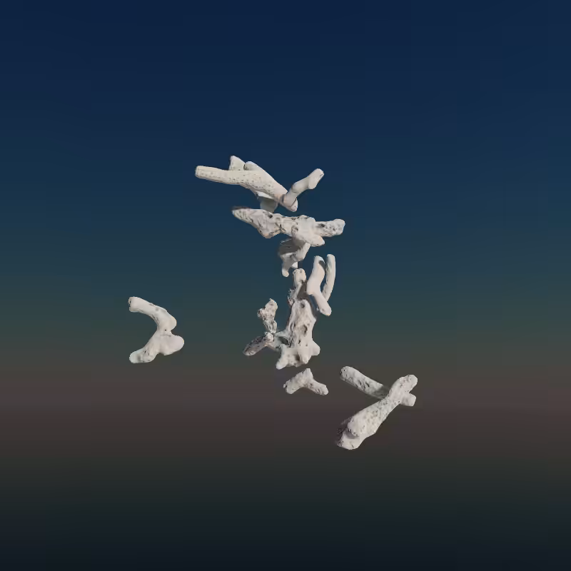 Bone Work (Gulf of Mexico) 2022 #102