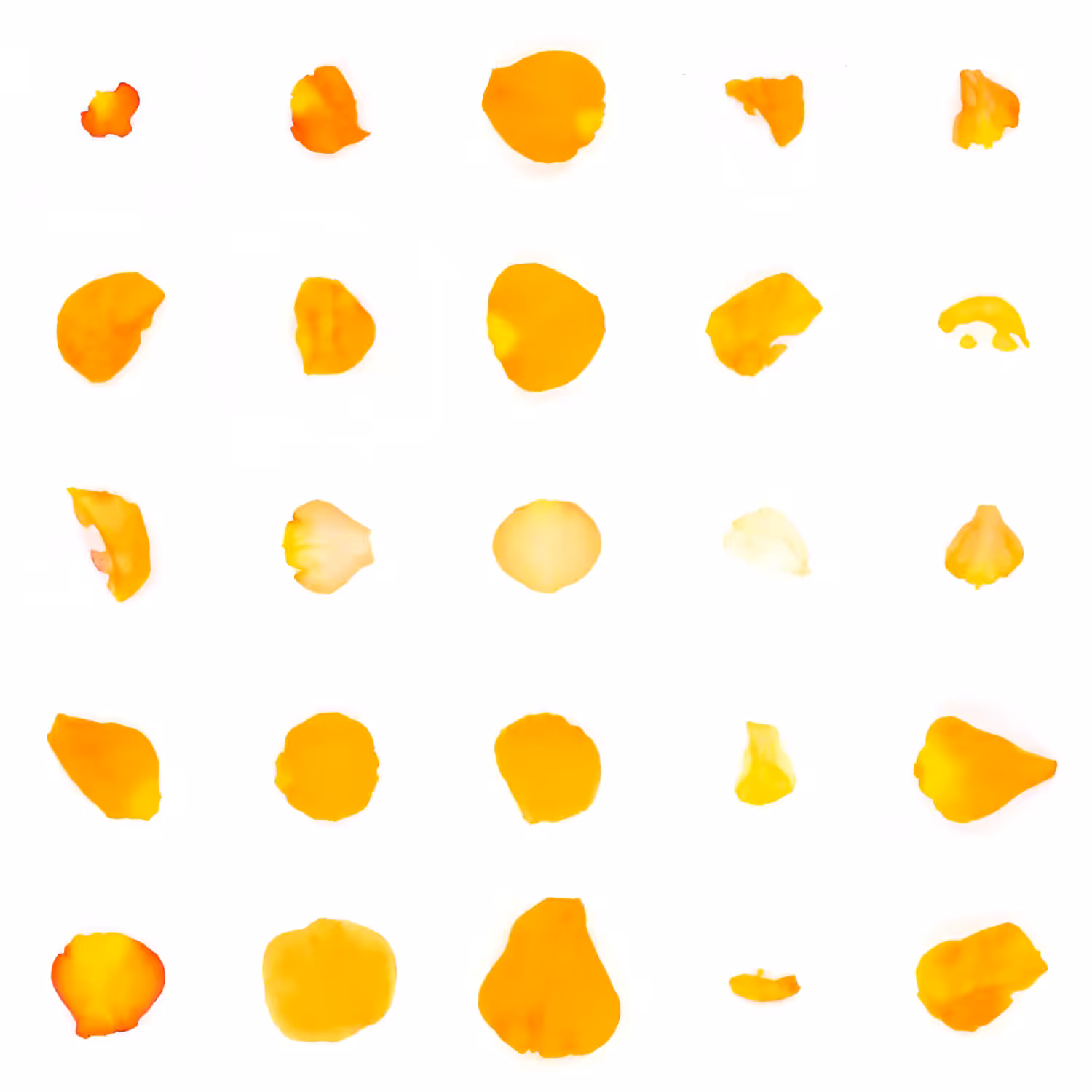 Infinite Petals 5x5#20114