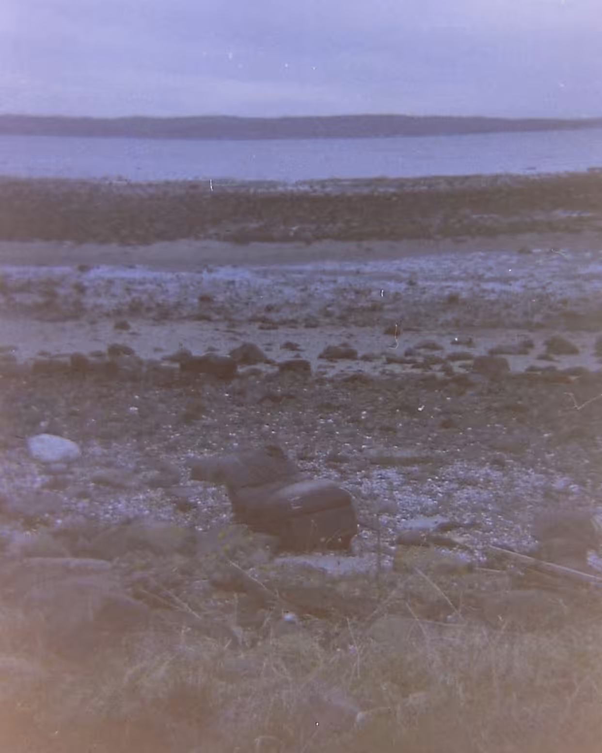 35mm Belfast: beach, jordanstown