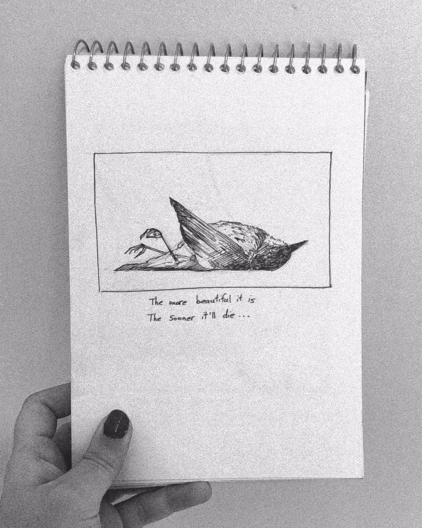 The more beautiful it is, the sooner it'll die...