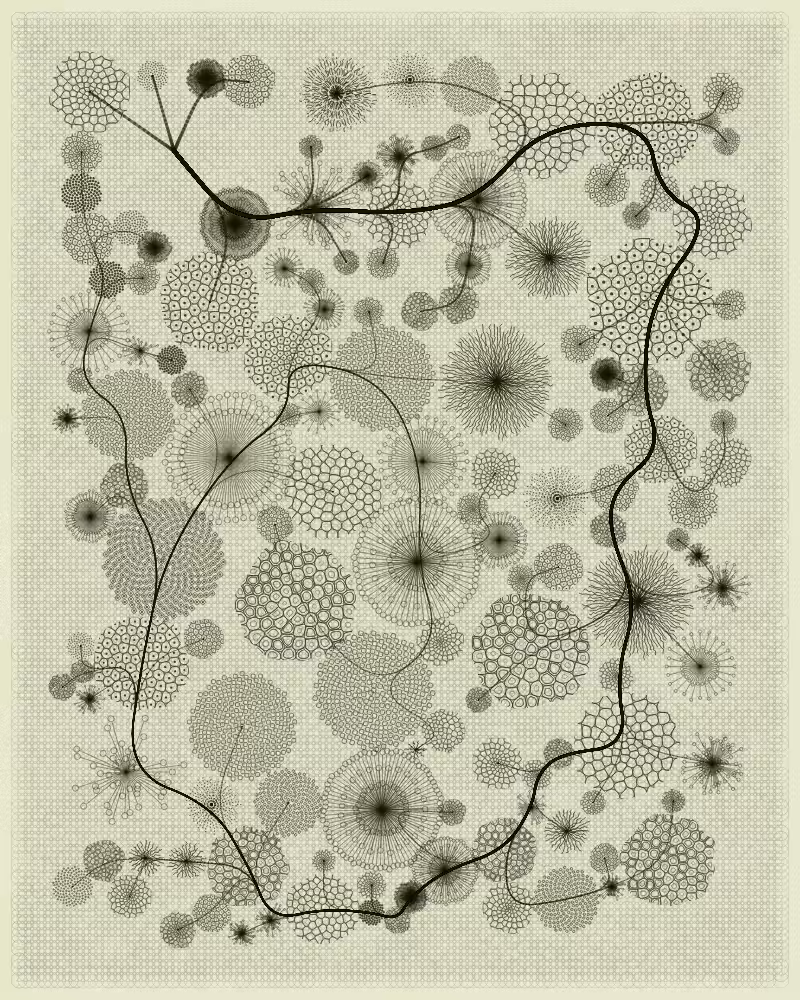 Florilegium #185