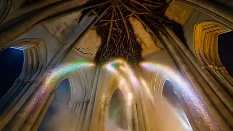 DX01: SINGULARITY 41442