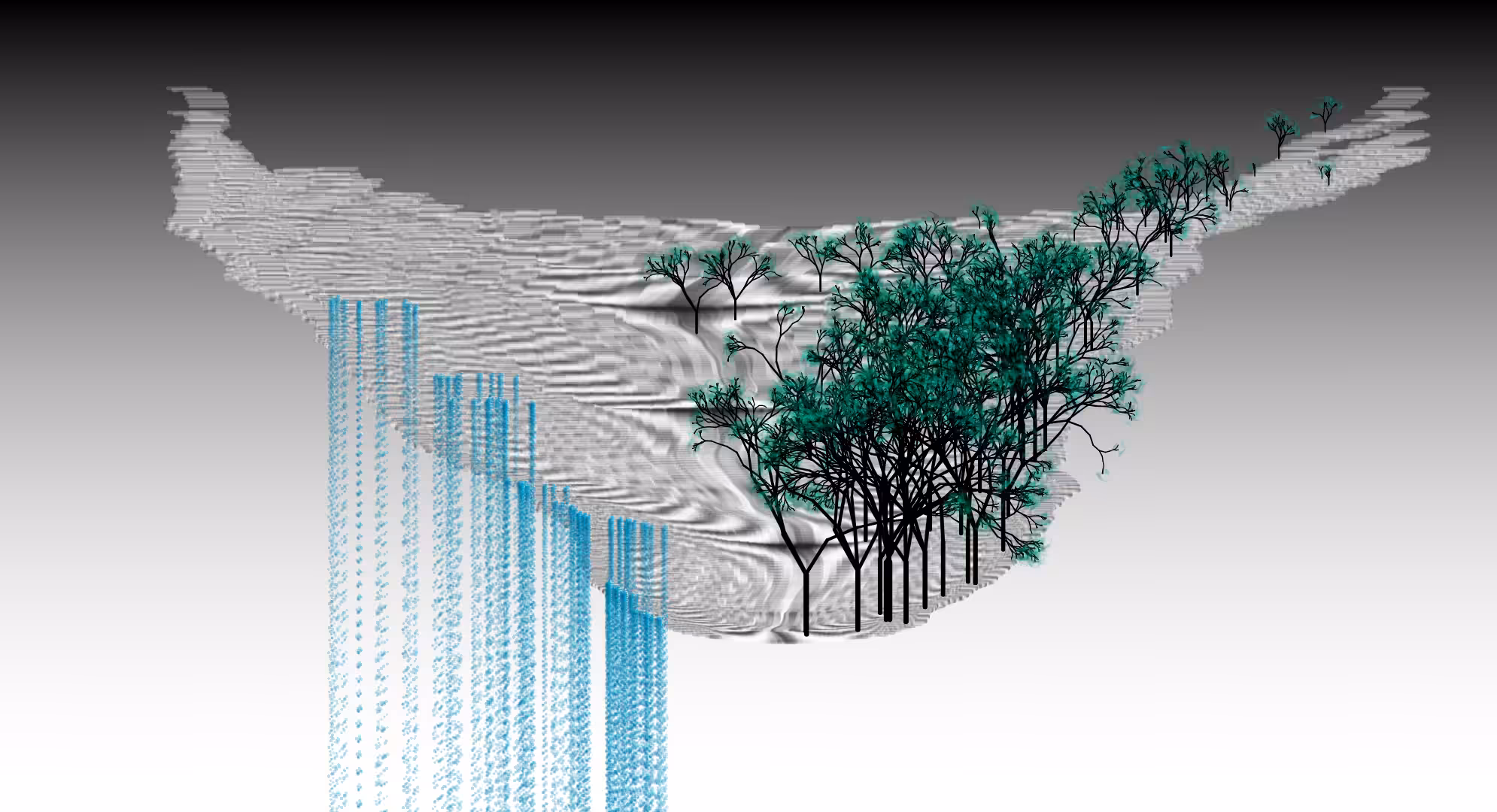 Flow and Flora #3