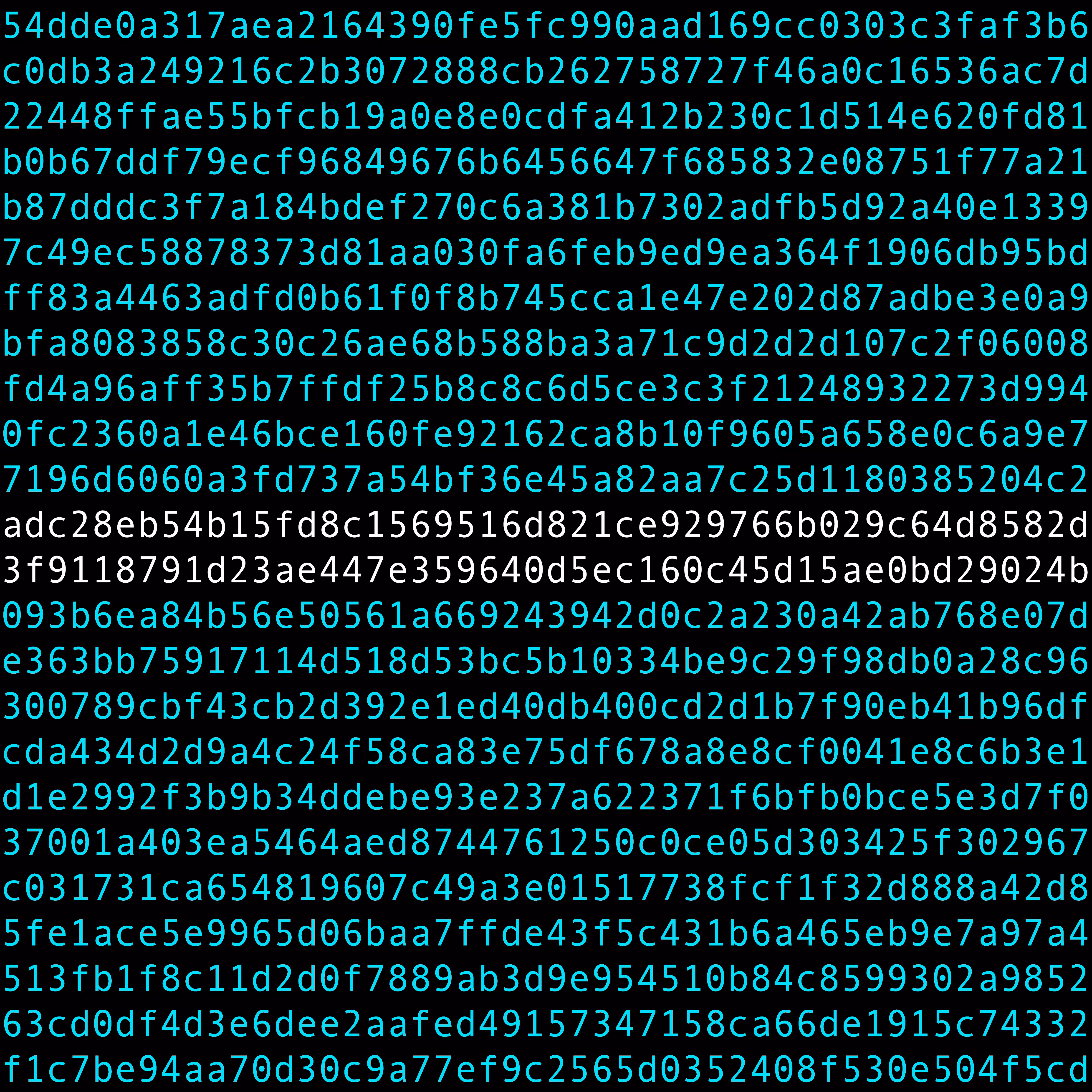 1111 #0725