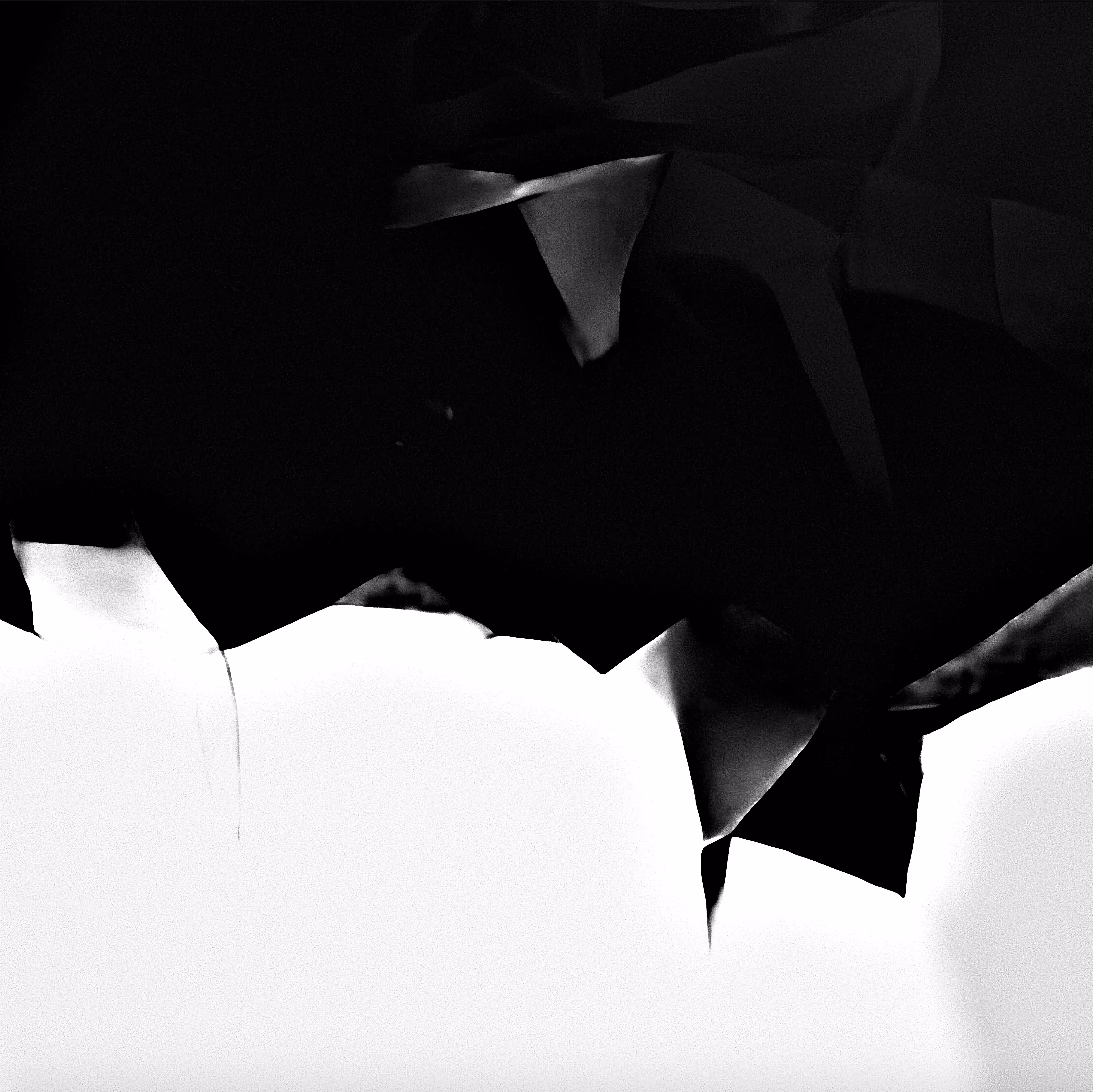 R-Distiny Black 27.11