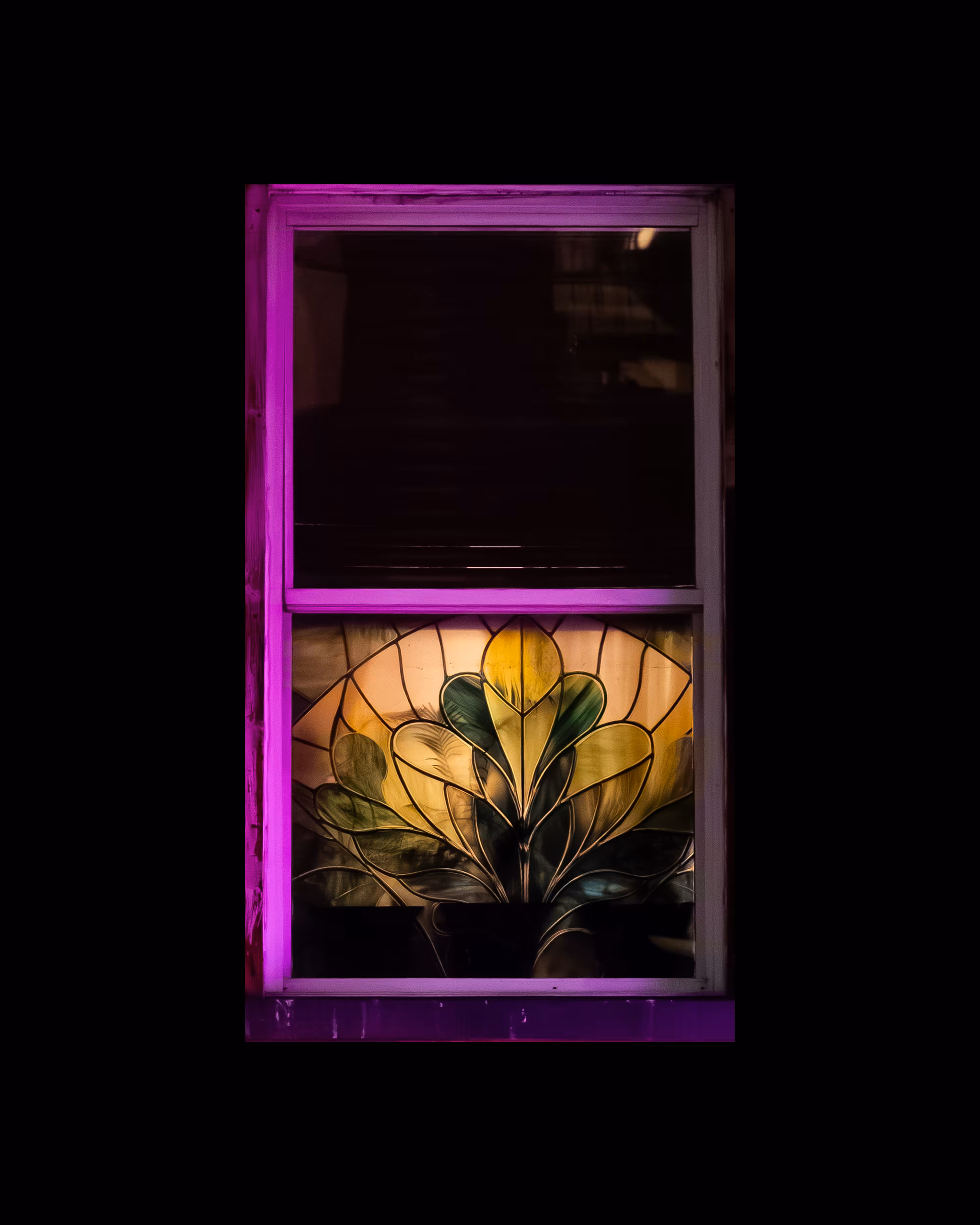 WINDOW 239