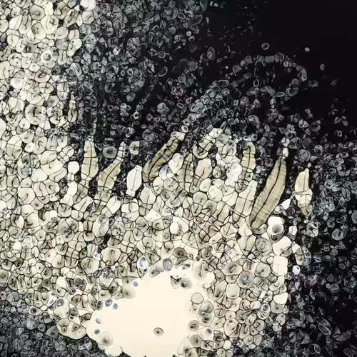 The Imagination of Matter project - Form and Order 03 #1