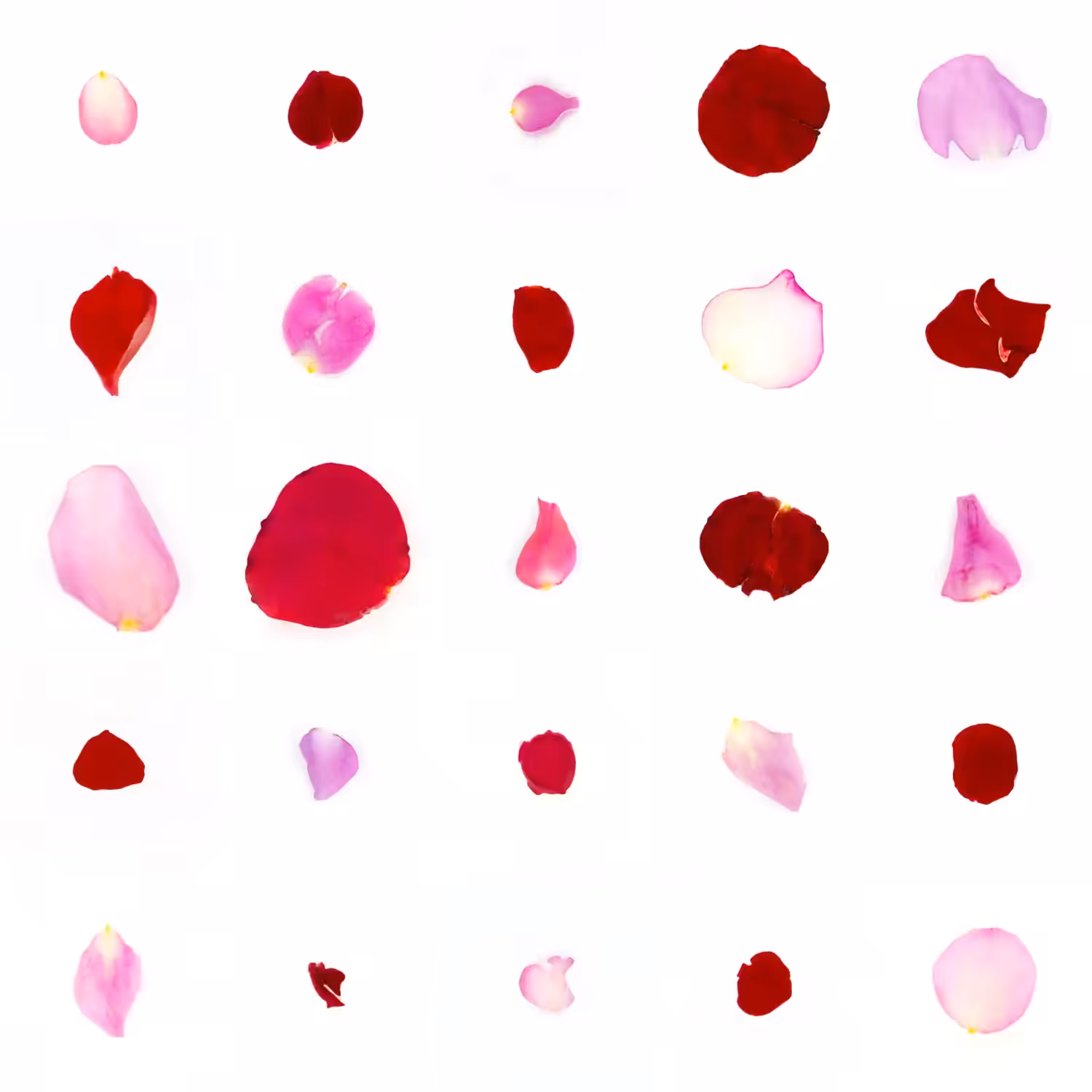 Infinite Petals 5x5#20587