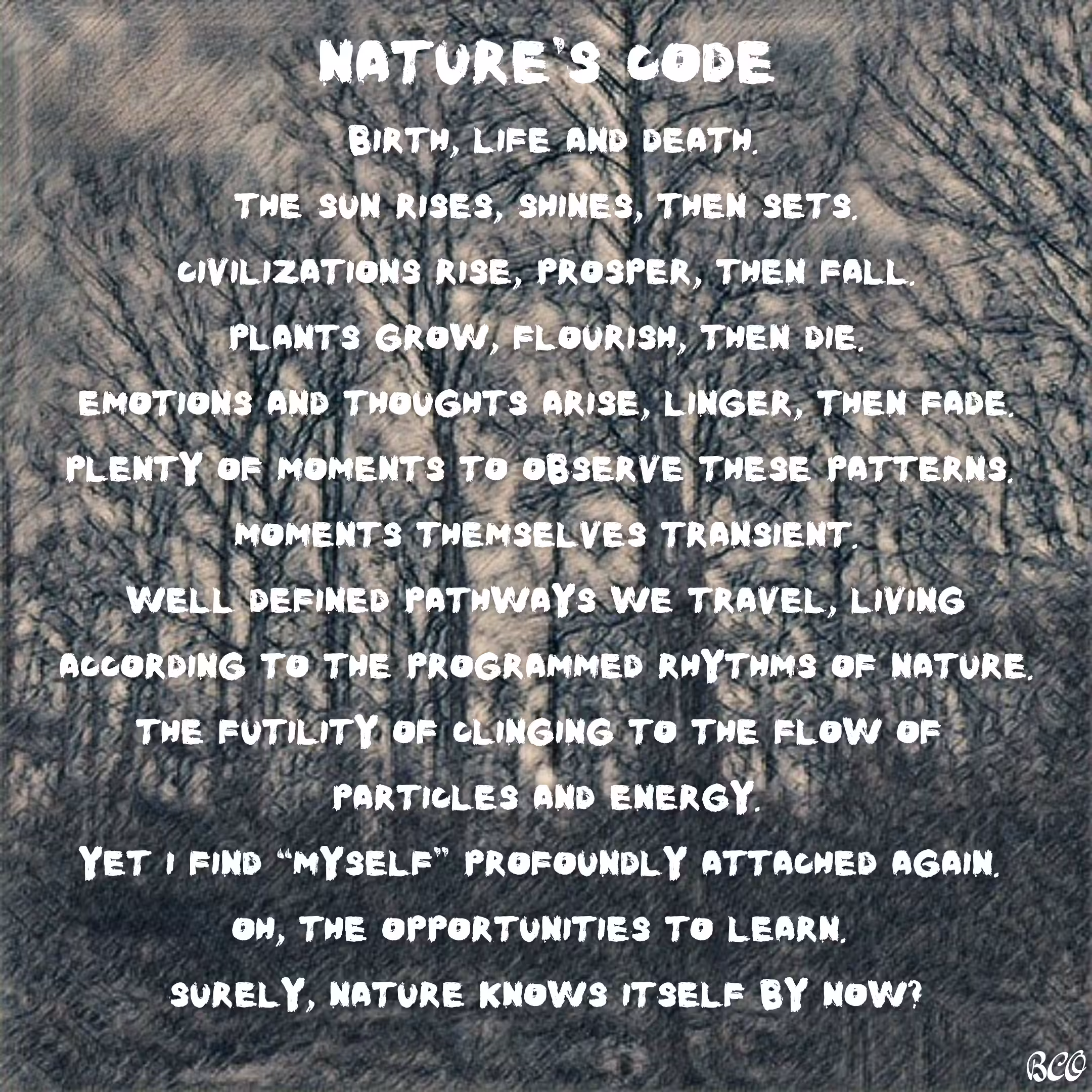 Nature's Code