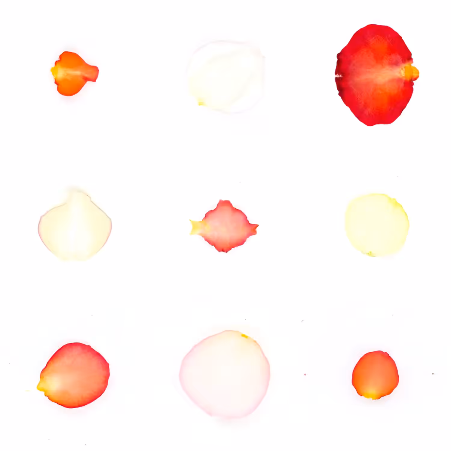 Infinite Petals 3x3#3268