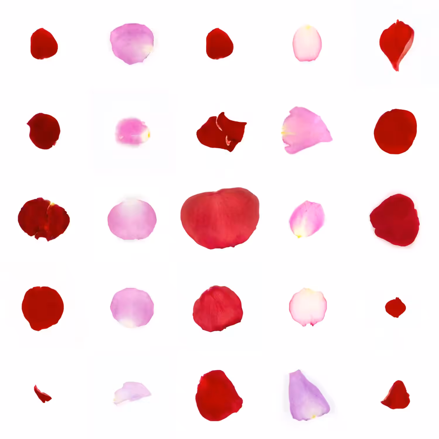 Infinite Petals 5x5#2006