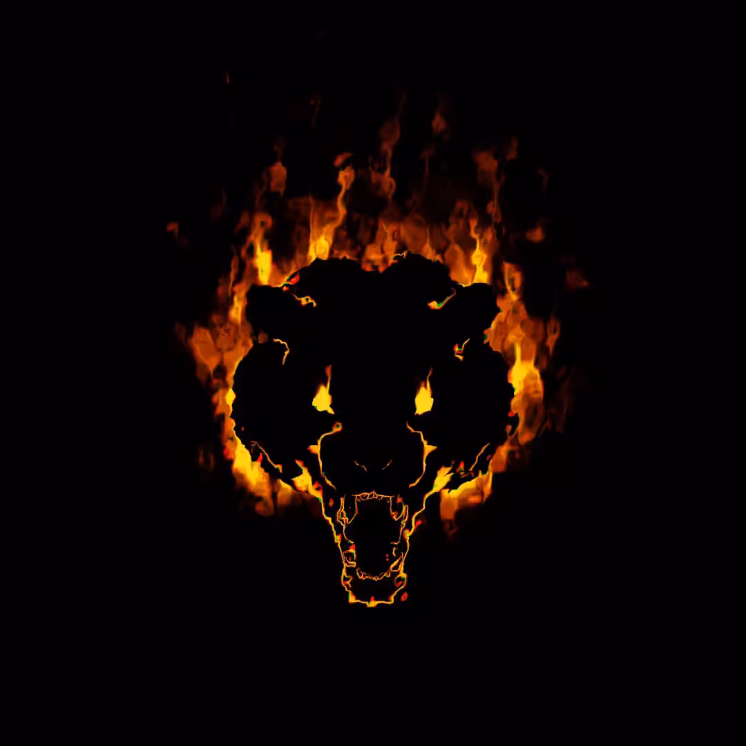 tiger soul