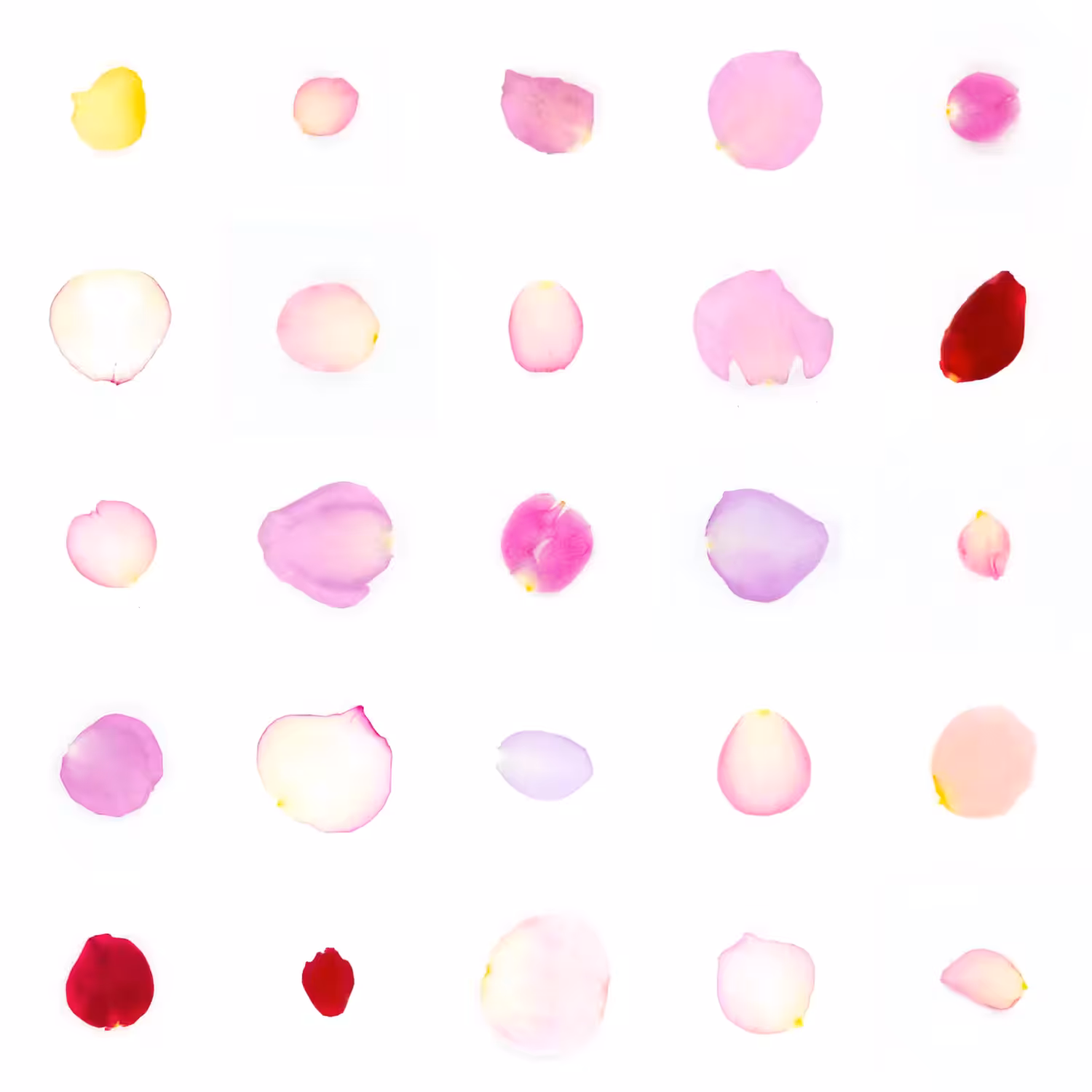 Infinite Petals 5x5#20800