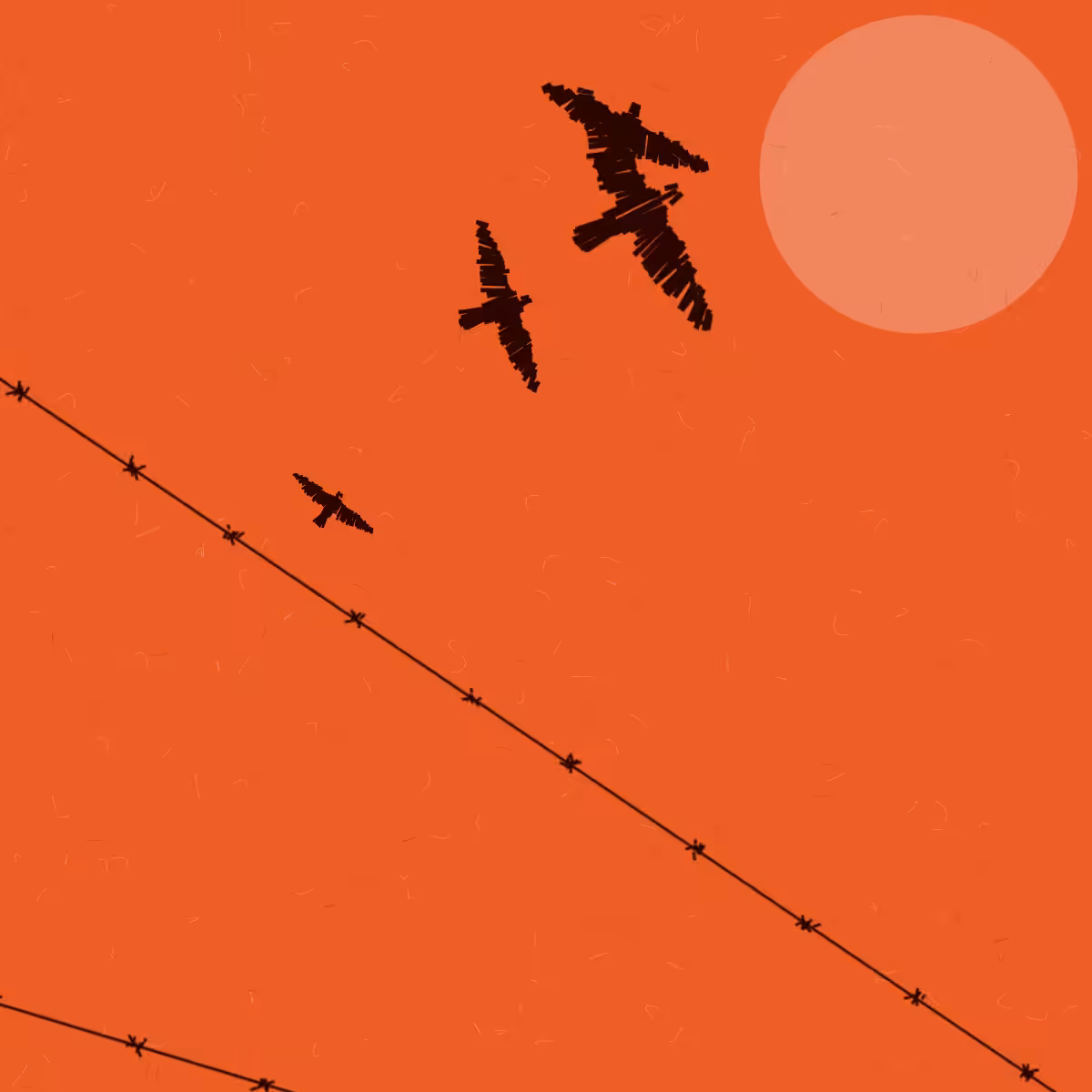 Freedom #9