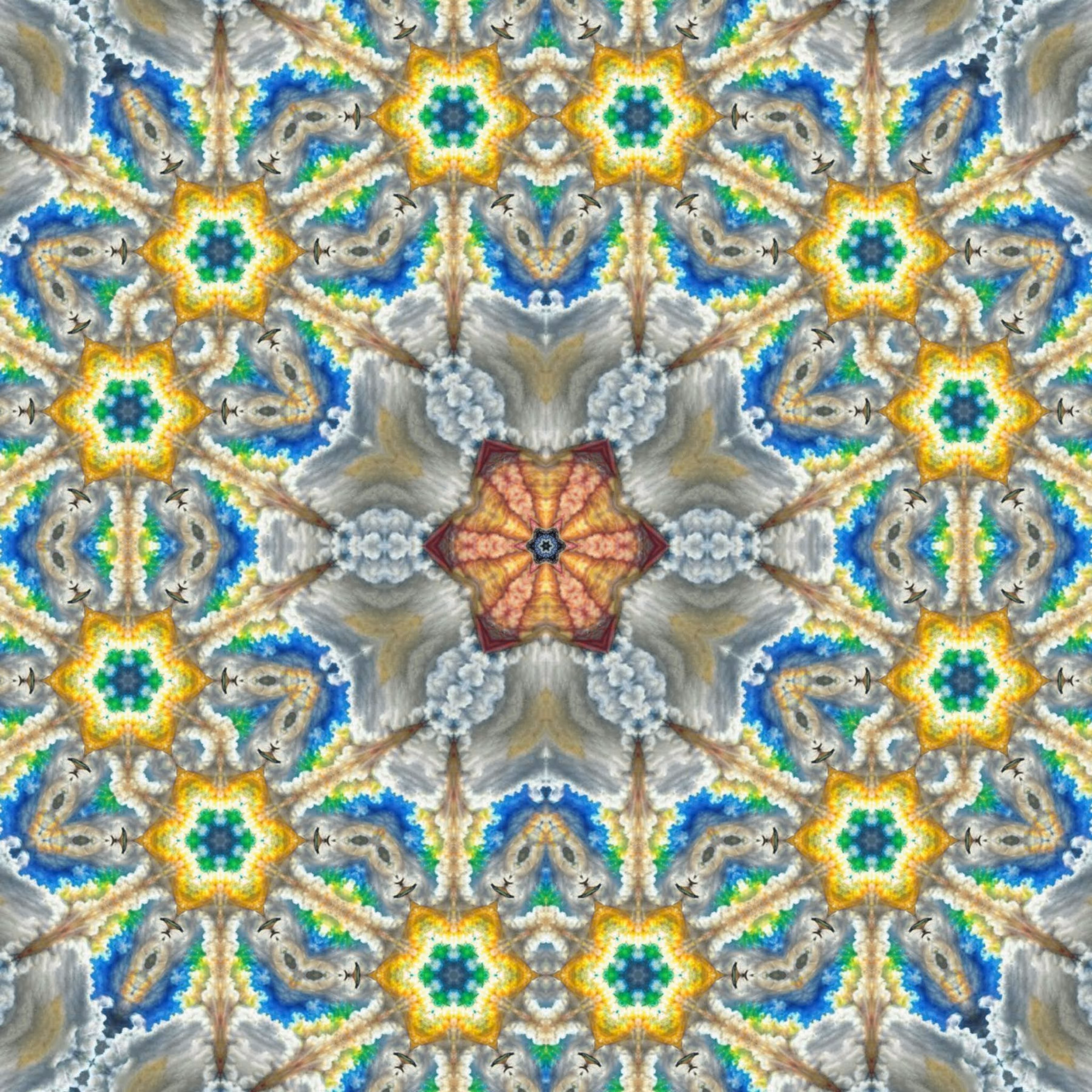 Hues and Views: Floral Circle