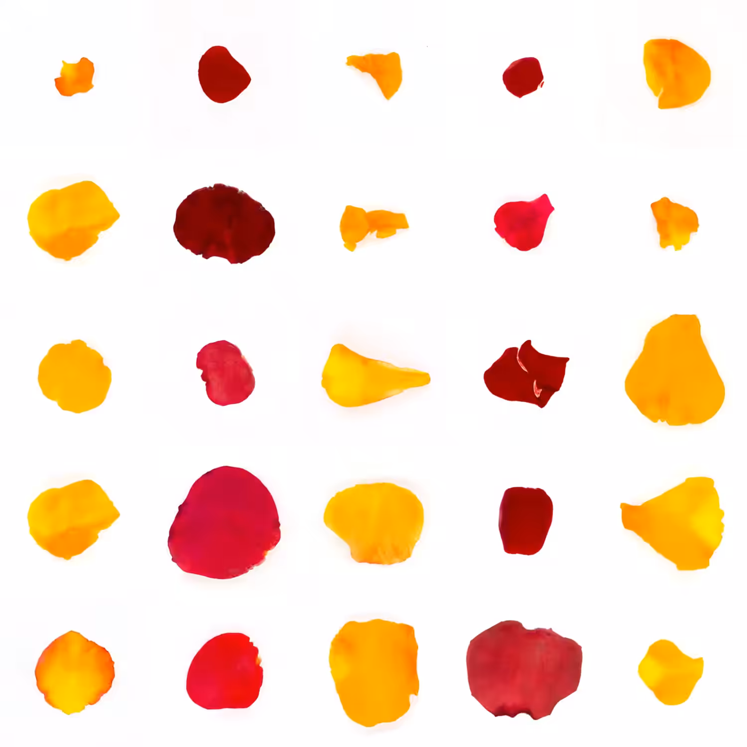 Infinite Petals 5x5#20022