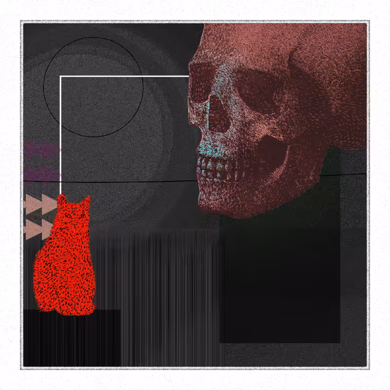 Salem #65