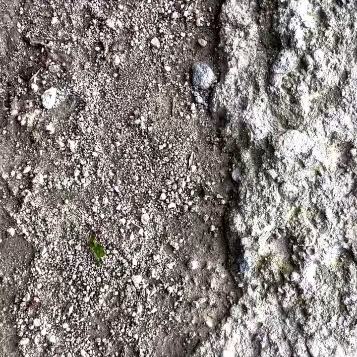 MOMENT#34 (Ant working)