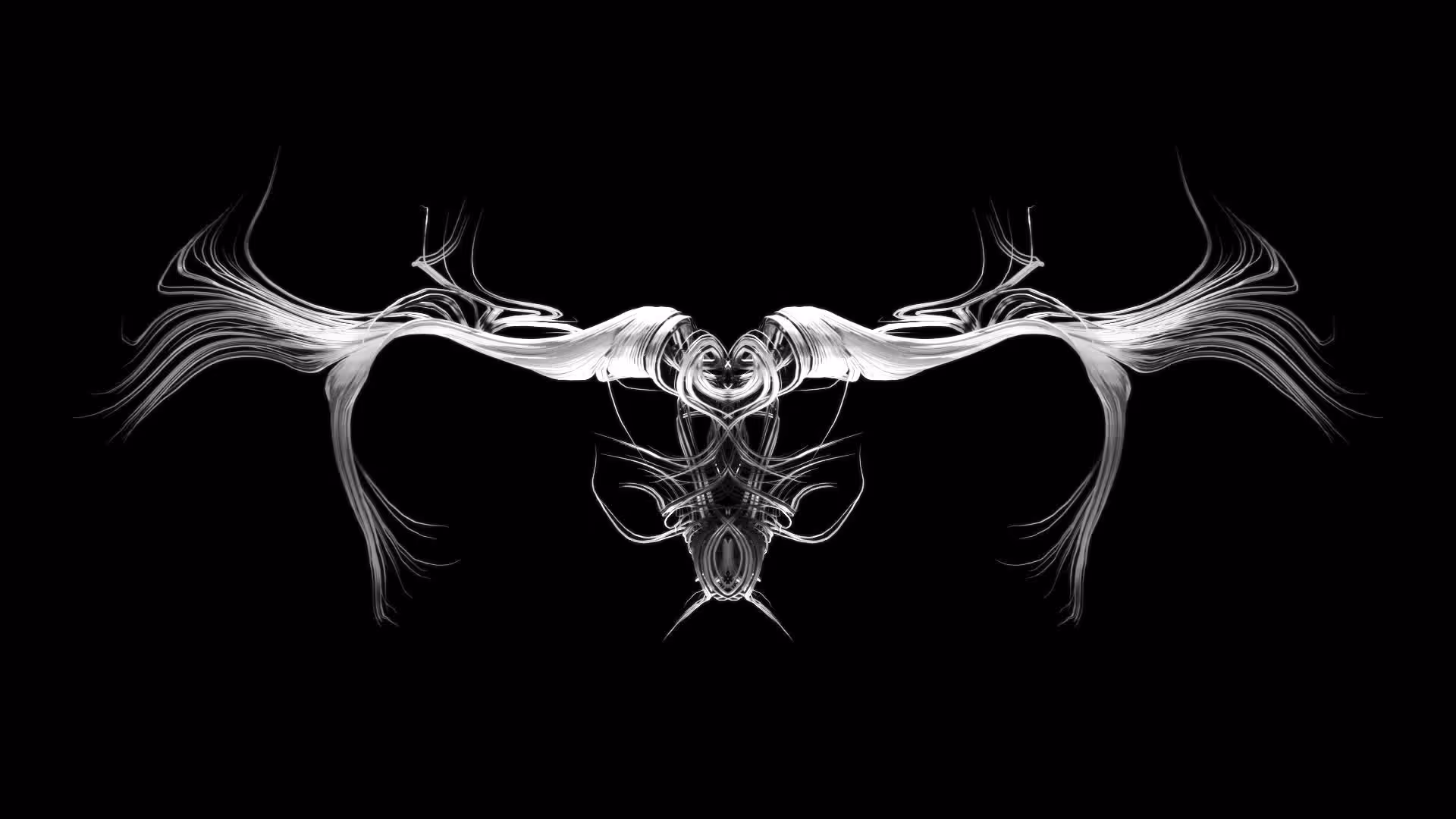 Entropy 1