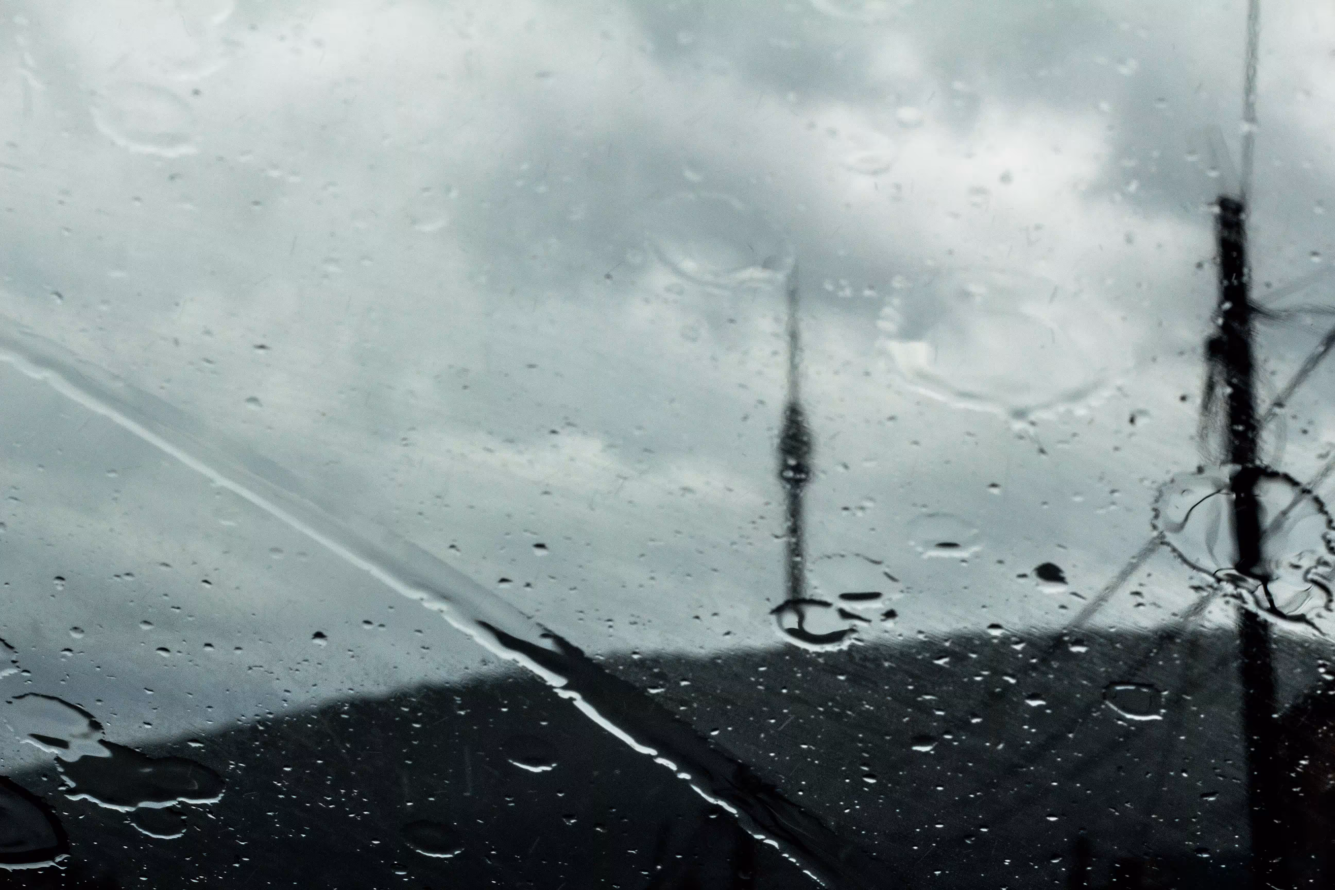 avala u kisu